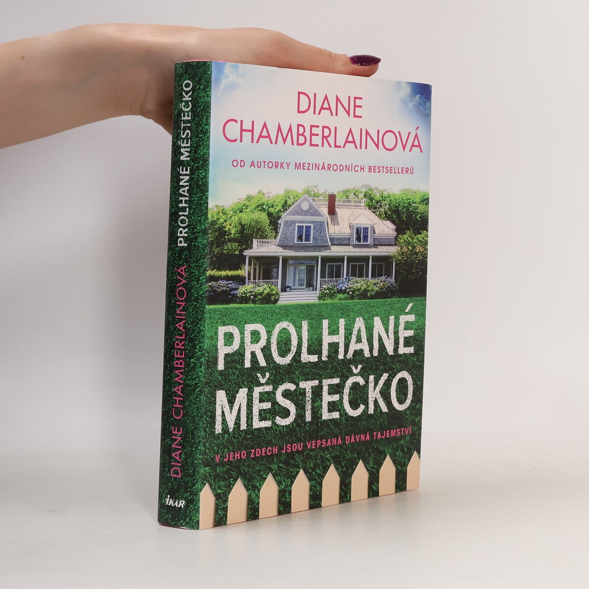 Diane Chamberlain Prolhané městečko