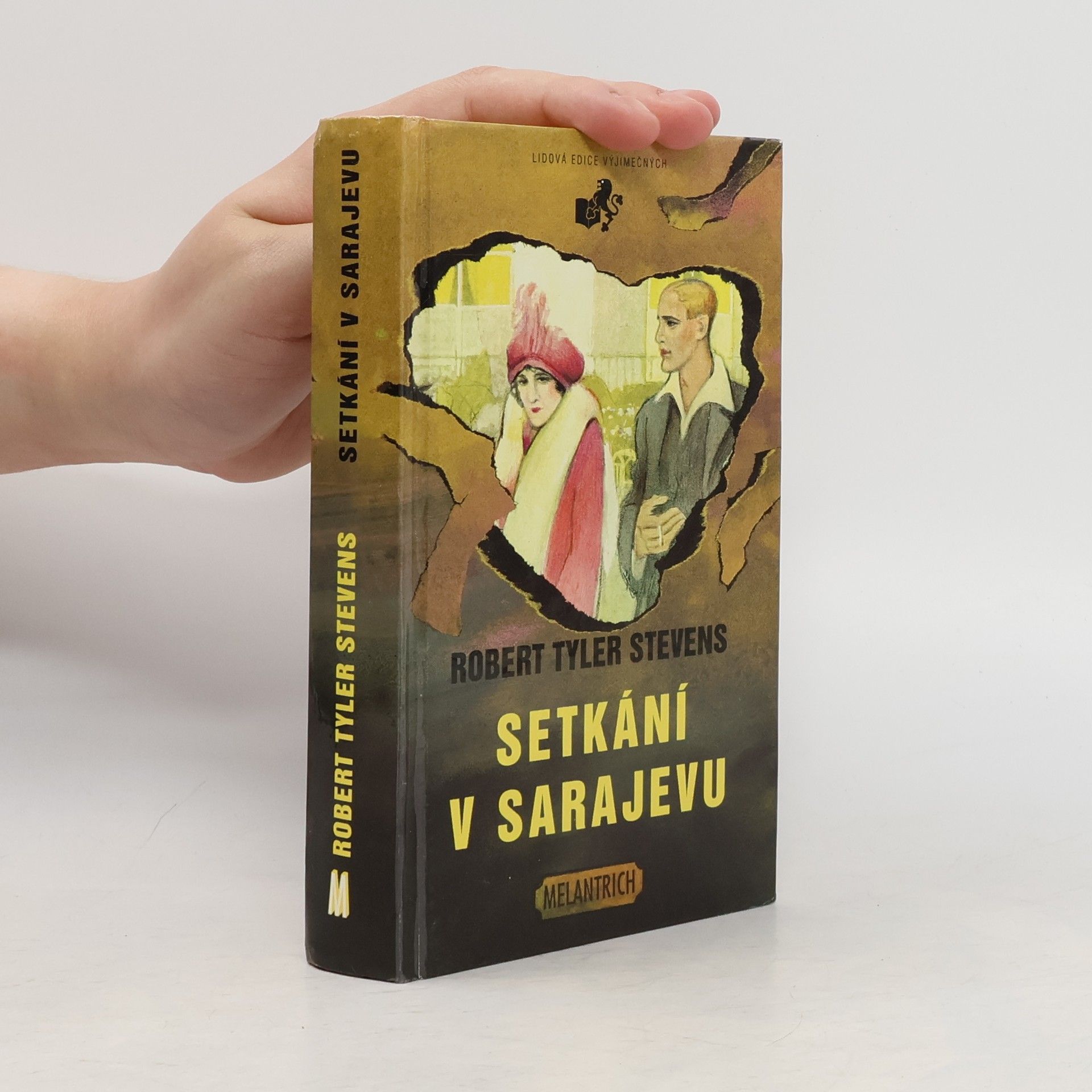 Robert Tyler Stevens Setkání v Sarajevu