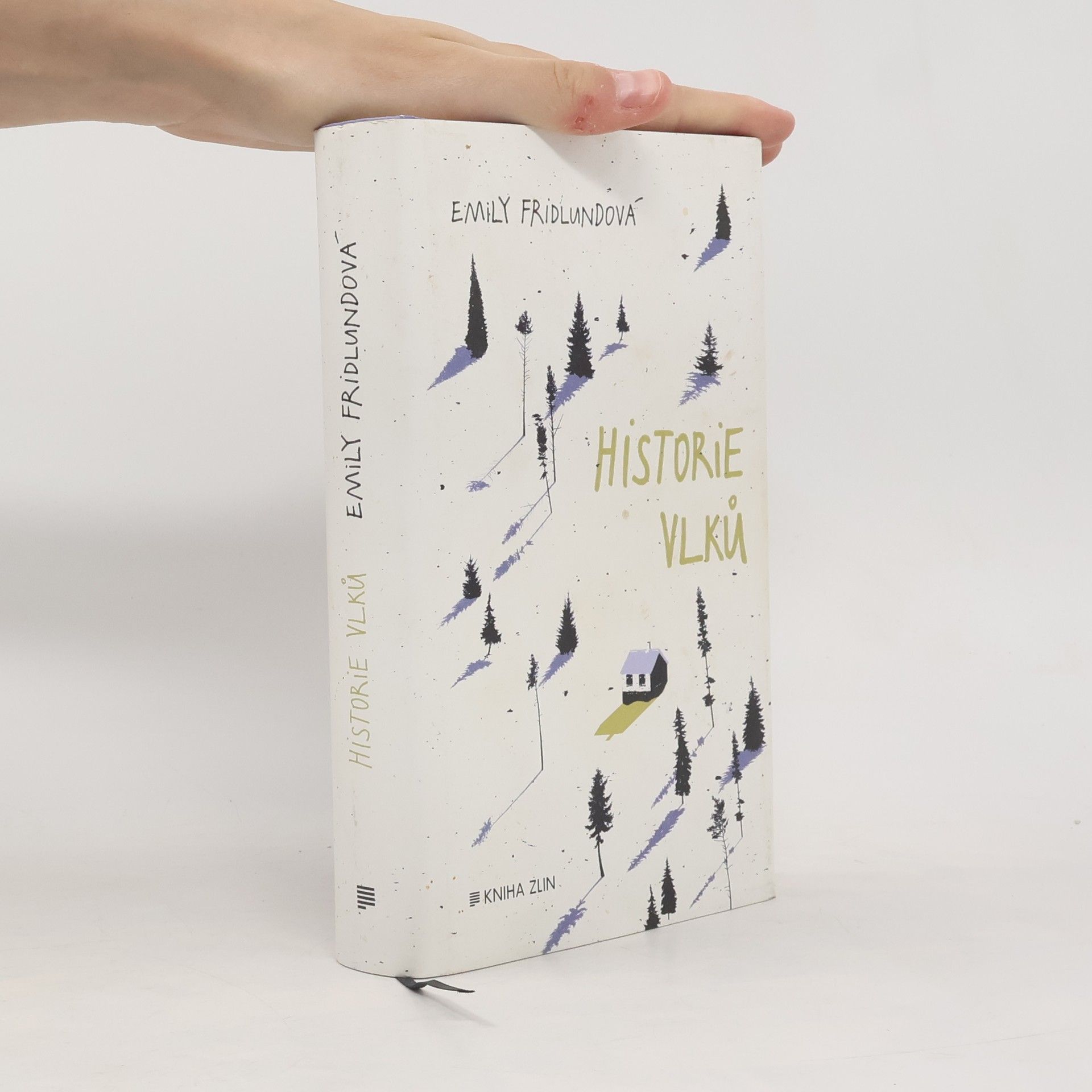 Emily Fridlund Historie vlků