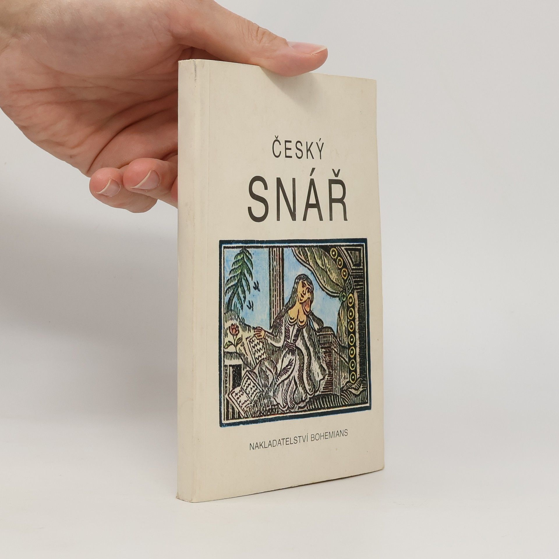 Český snář