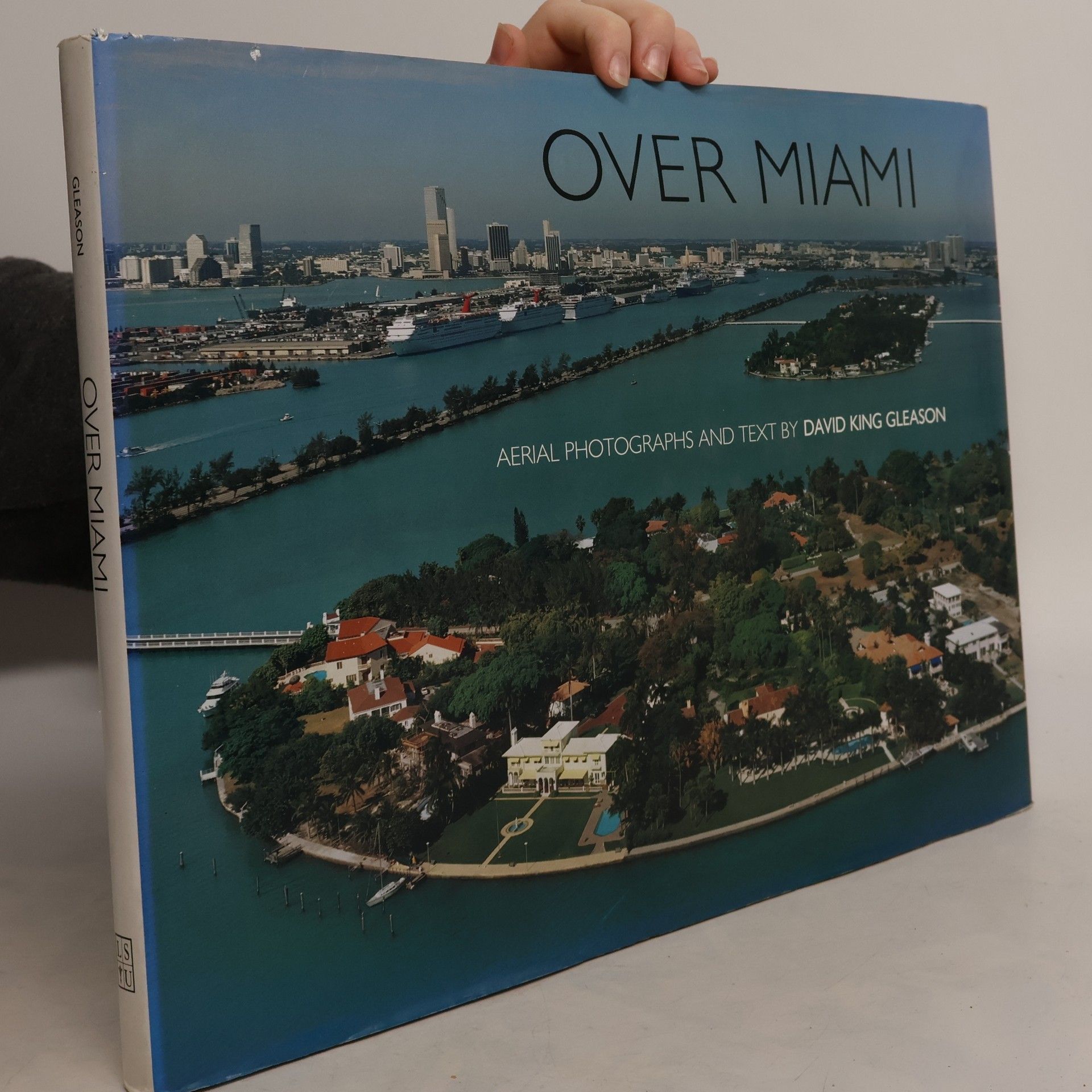 David King Gleason Over Miami