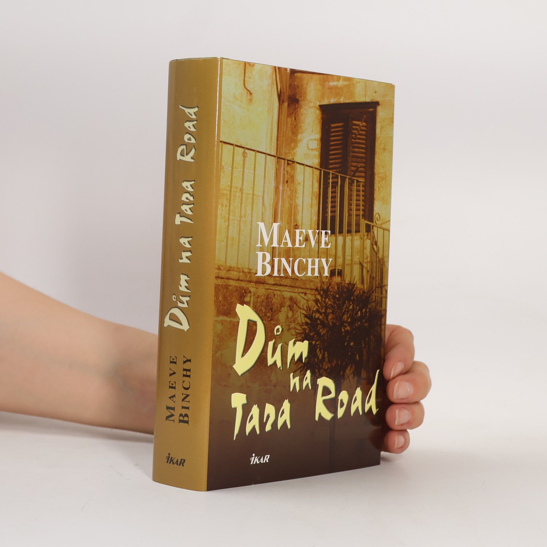 Maeve Binchy Dům na Tara Road