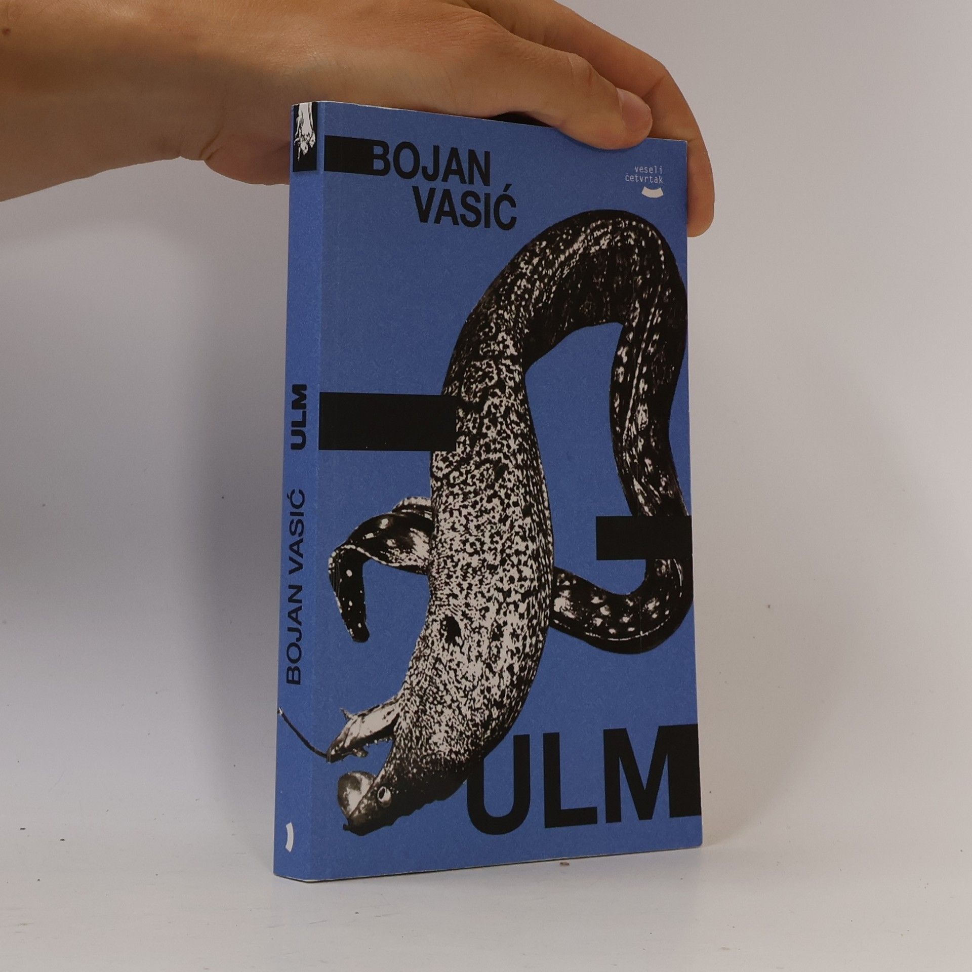 Ulm
