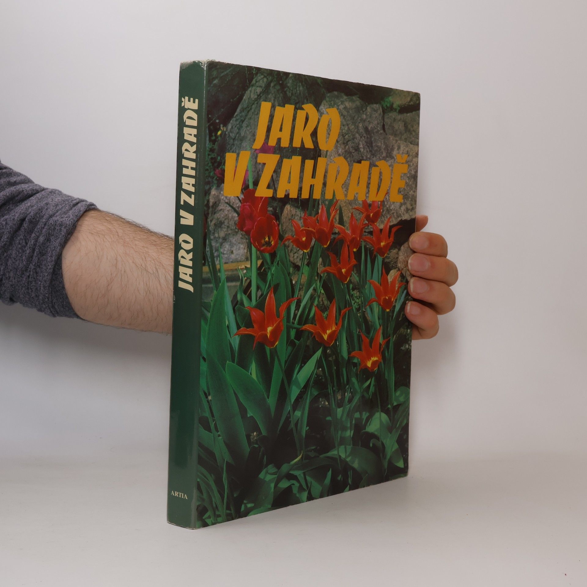 Eva Fürst Jaro v zahradě