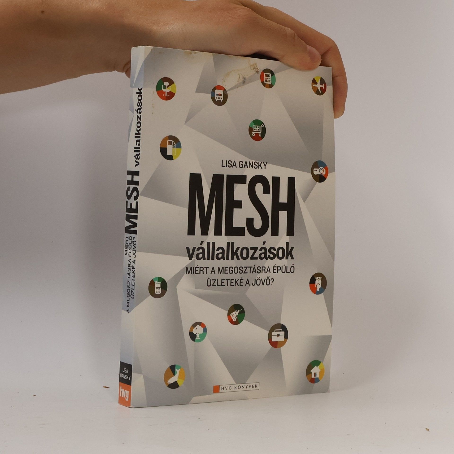 Lisa Gansky Mesh vállalkozások