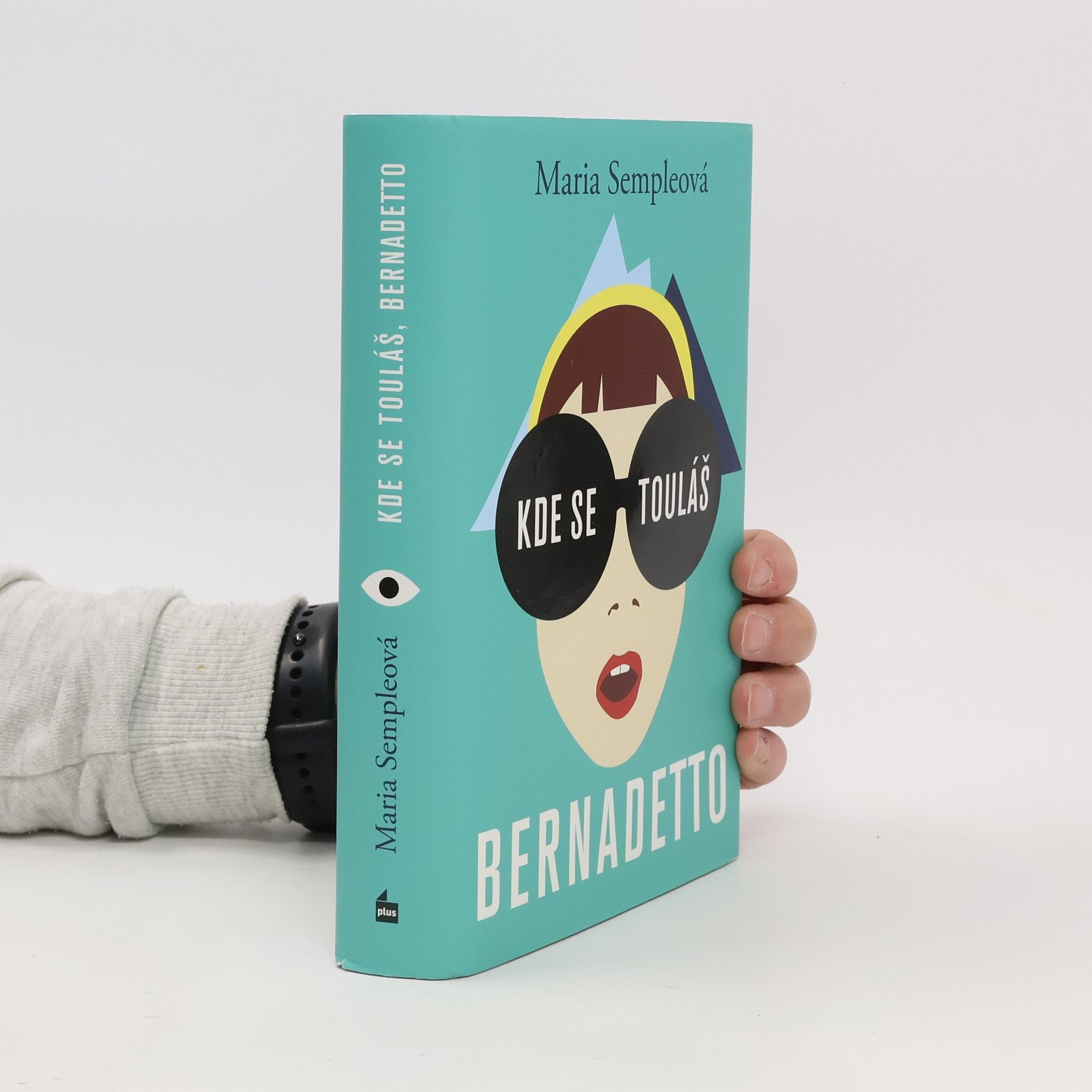 Maria Semple Kde se touláš, Bernadetto