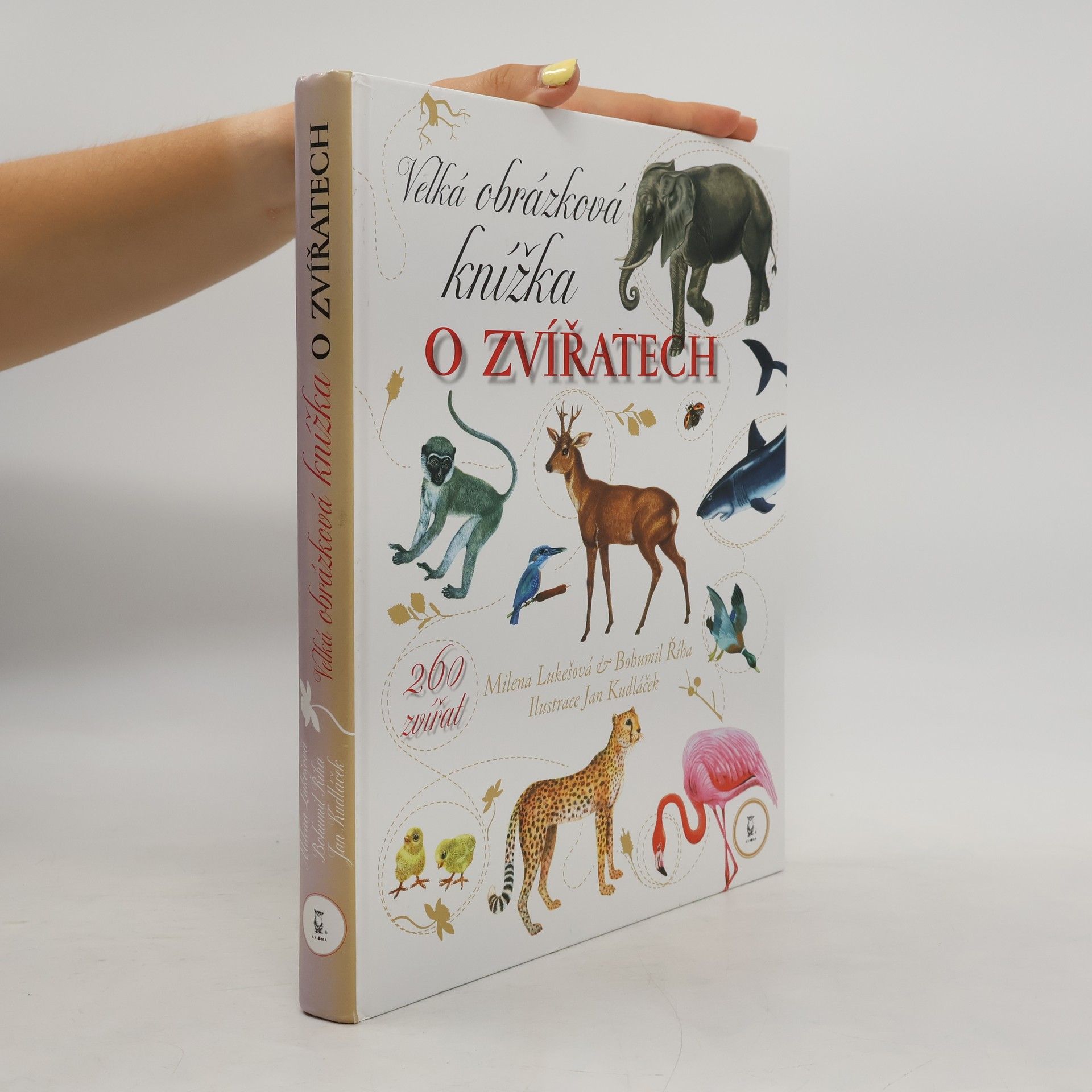 Milena Lukešová Velká obrázková knížka o zvířatech: 260 zvířat od A do Ž