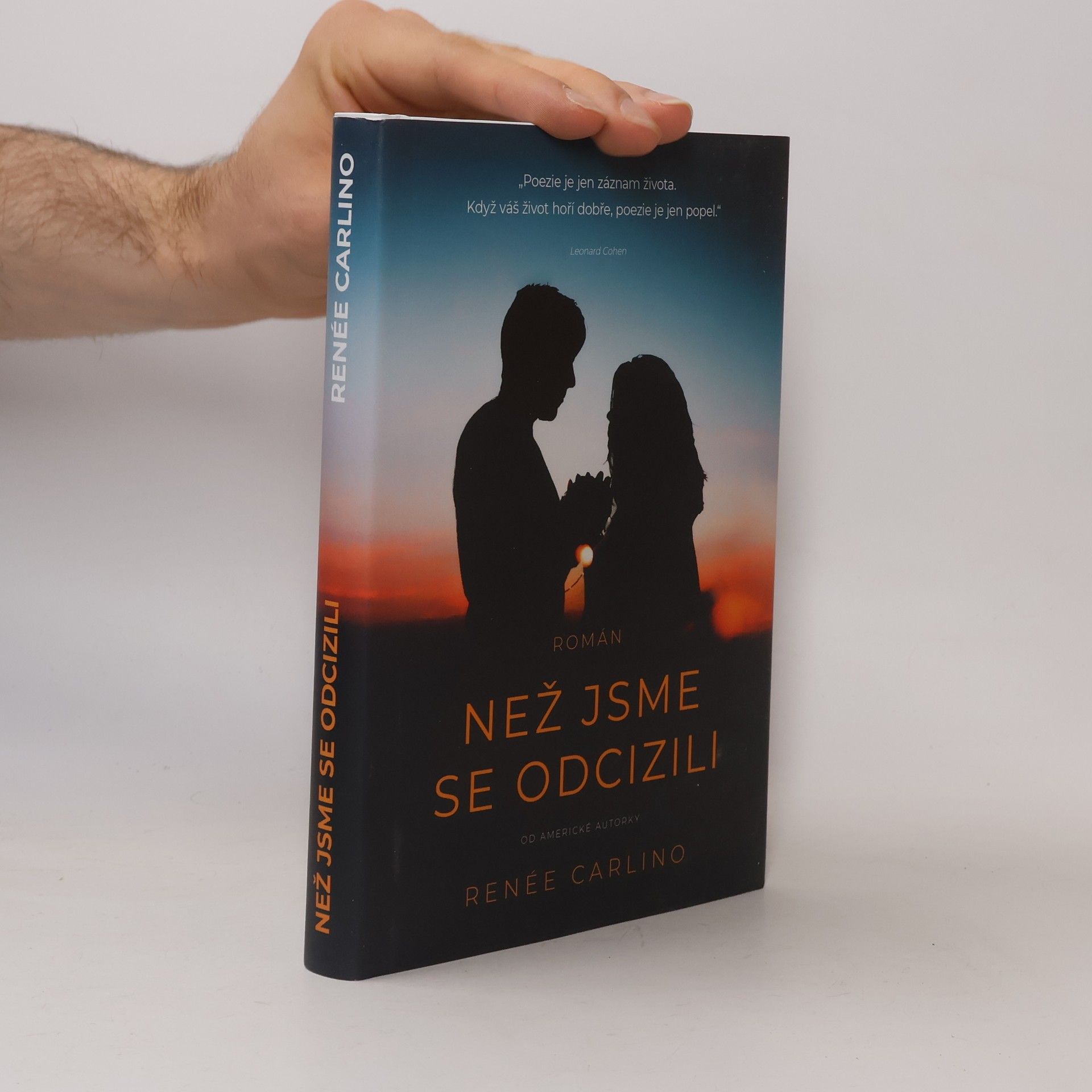 Renée Carlino Než jsme se odcizili