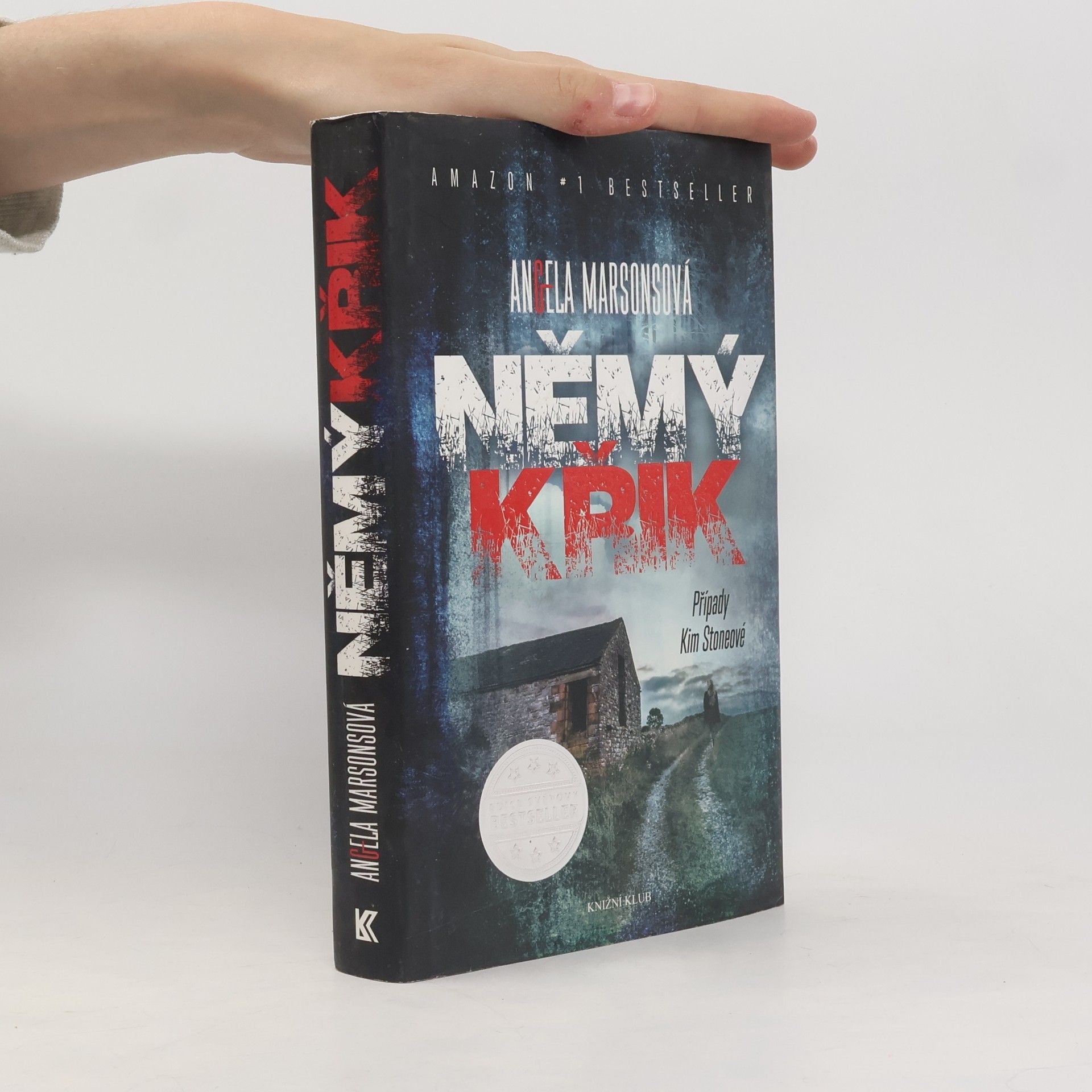 Angela Marsons Němý křik