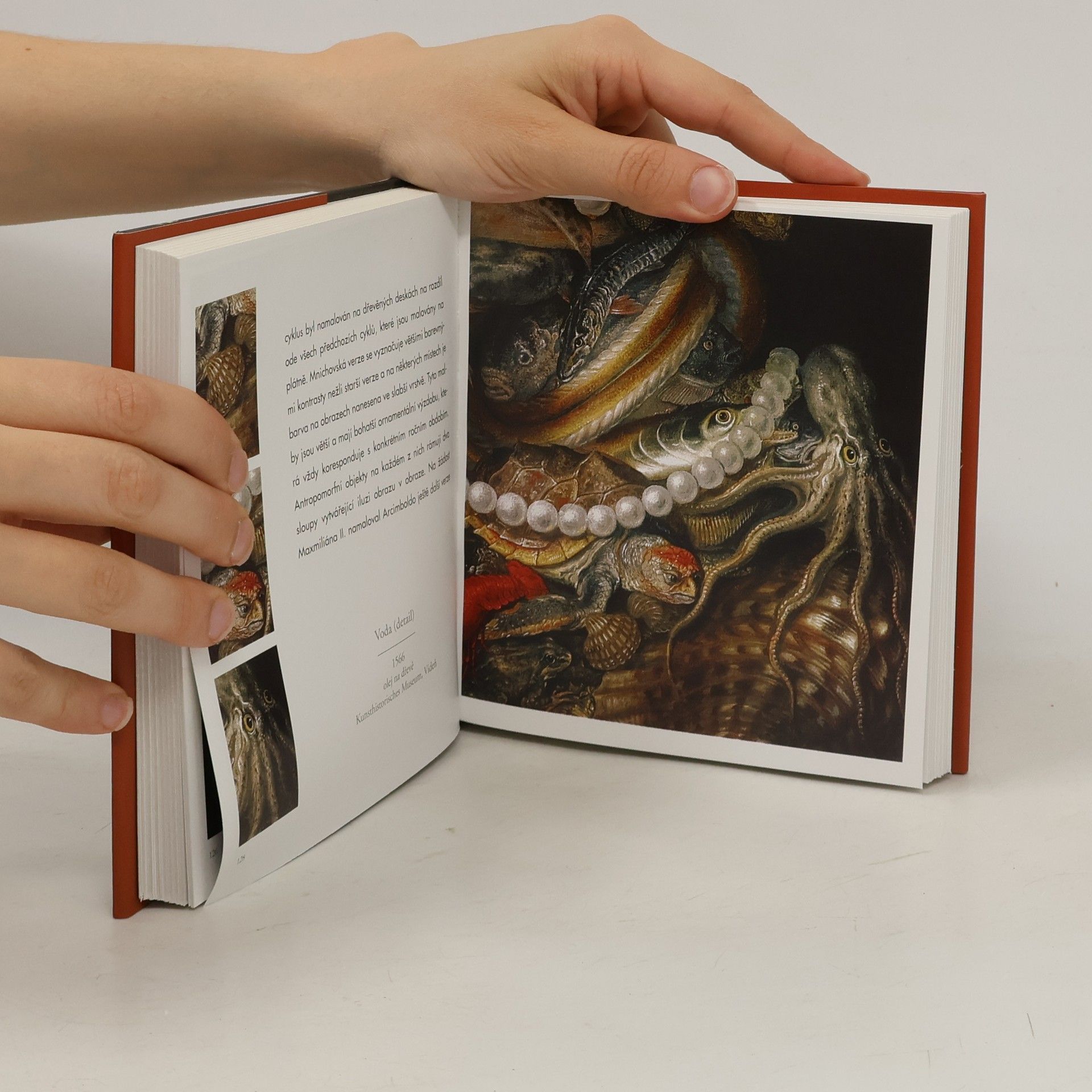 Liana Cheney Arcimboldo : 1527-1593