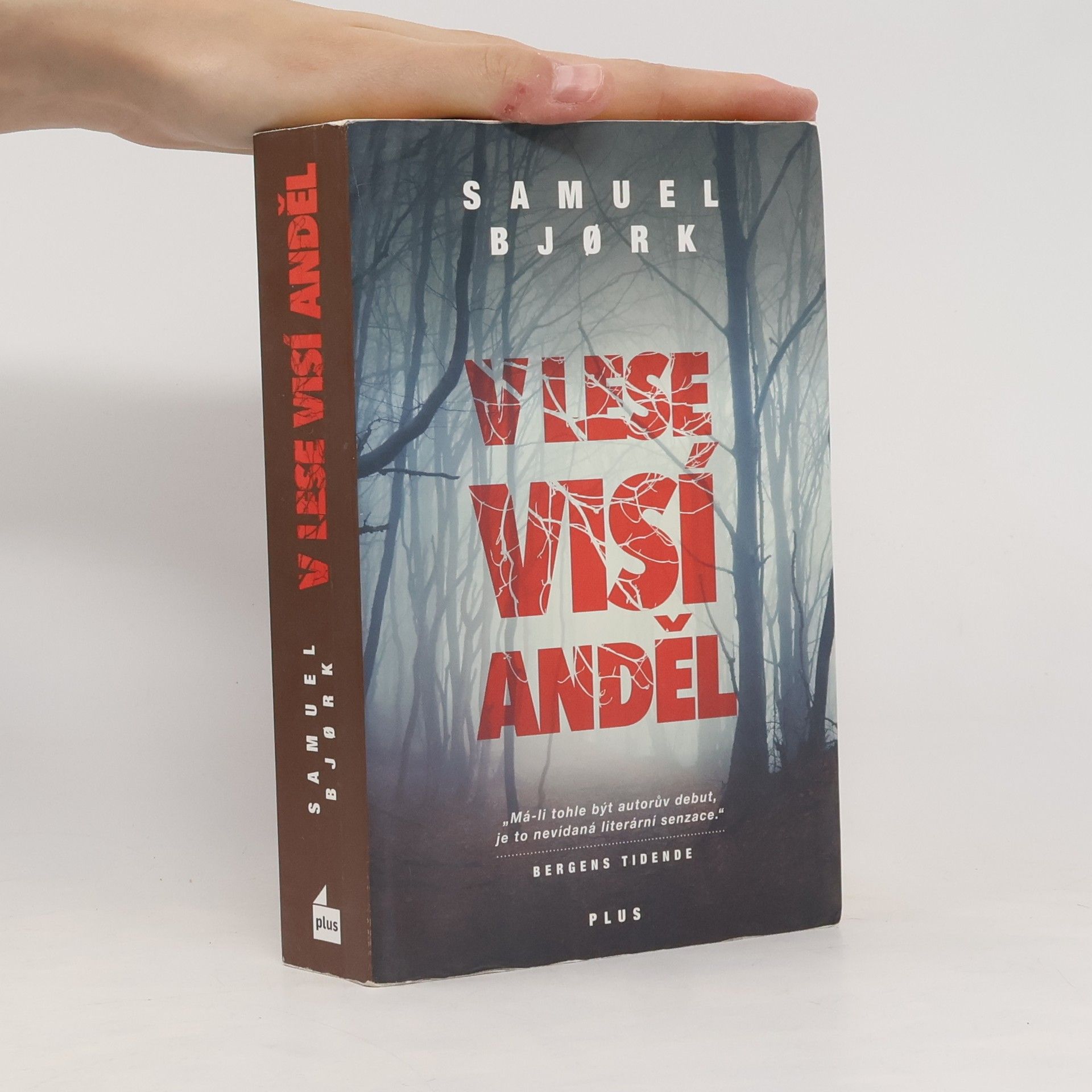 Samuel Bjork V lese visí anděl