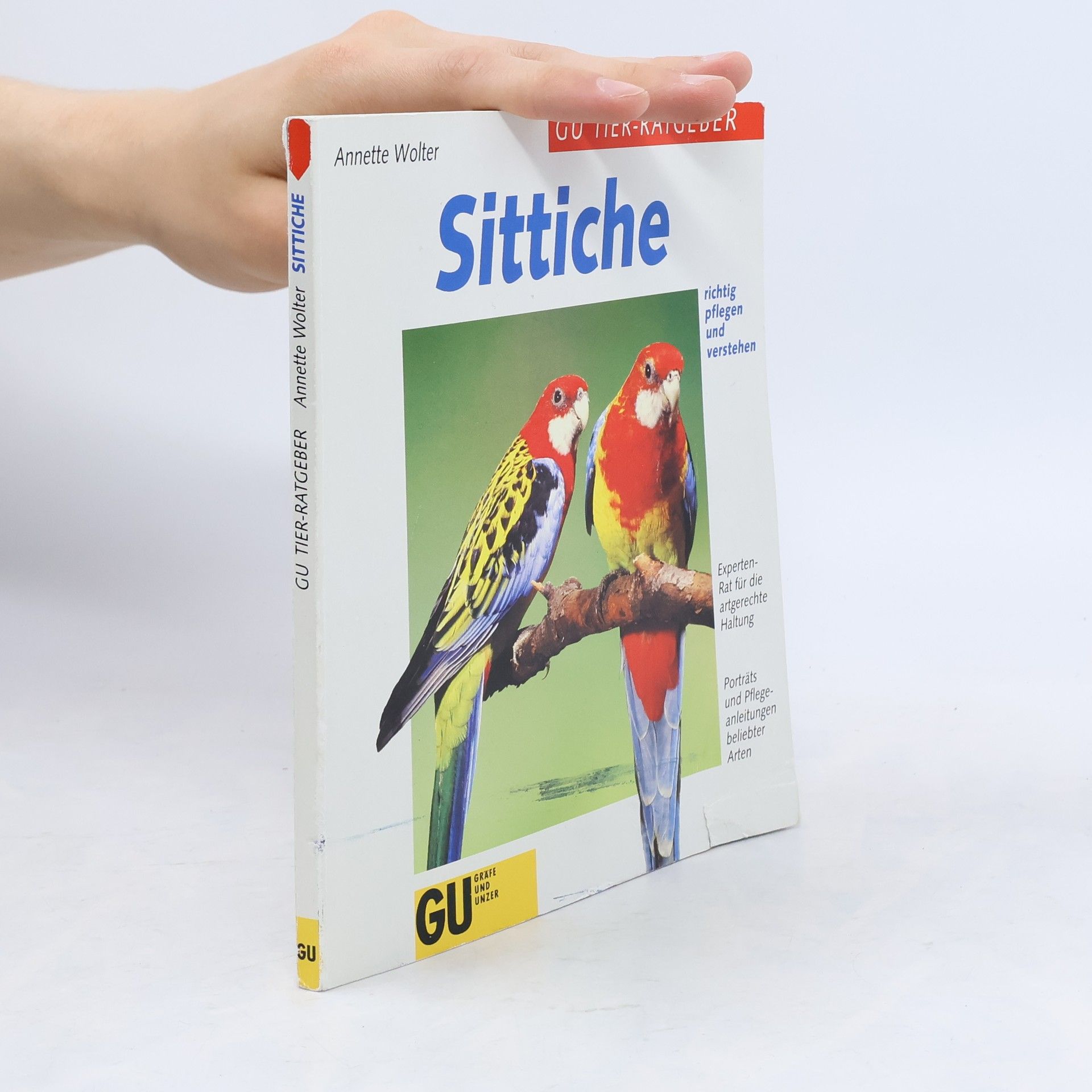 Sittiche richtig pflegen und verstehen