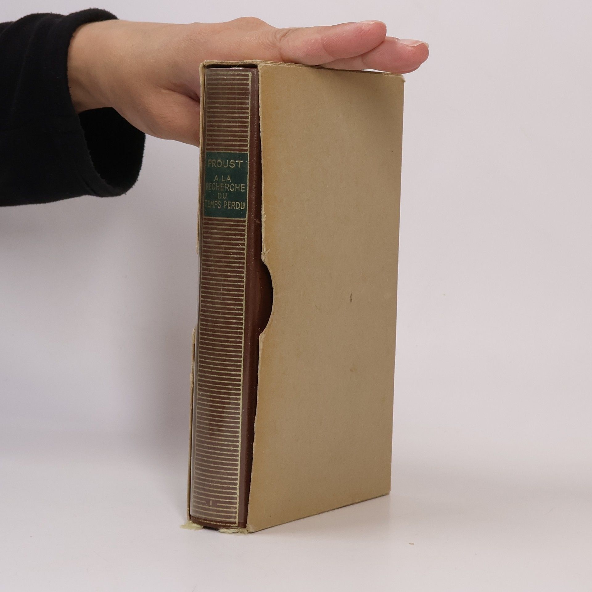 Marcel Proust A la recherche du temps perdu I