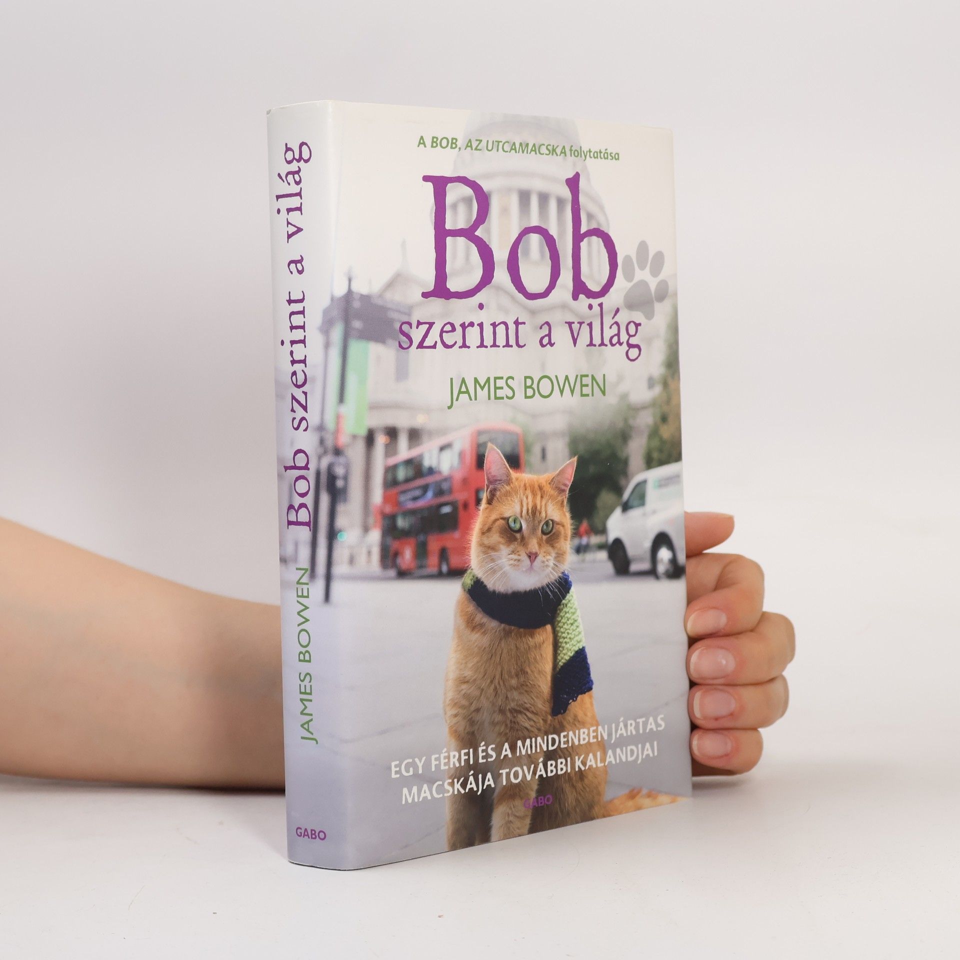 Anita Bak Bob szerint a világ