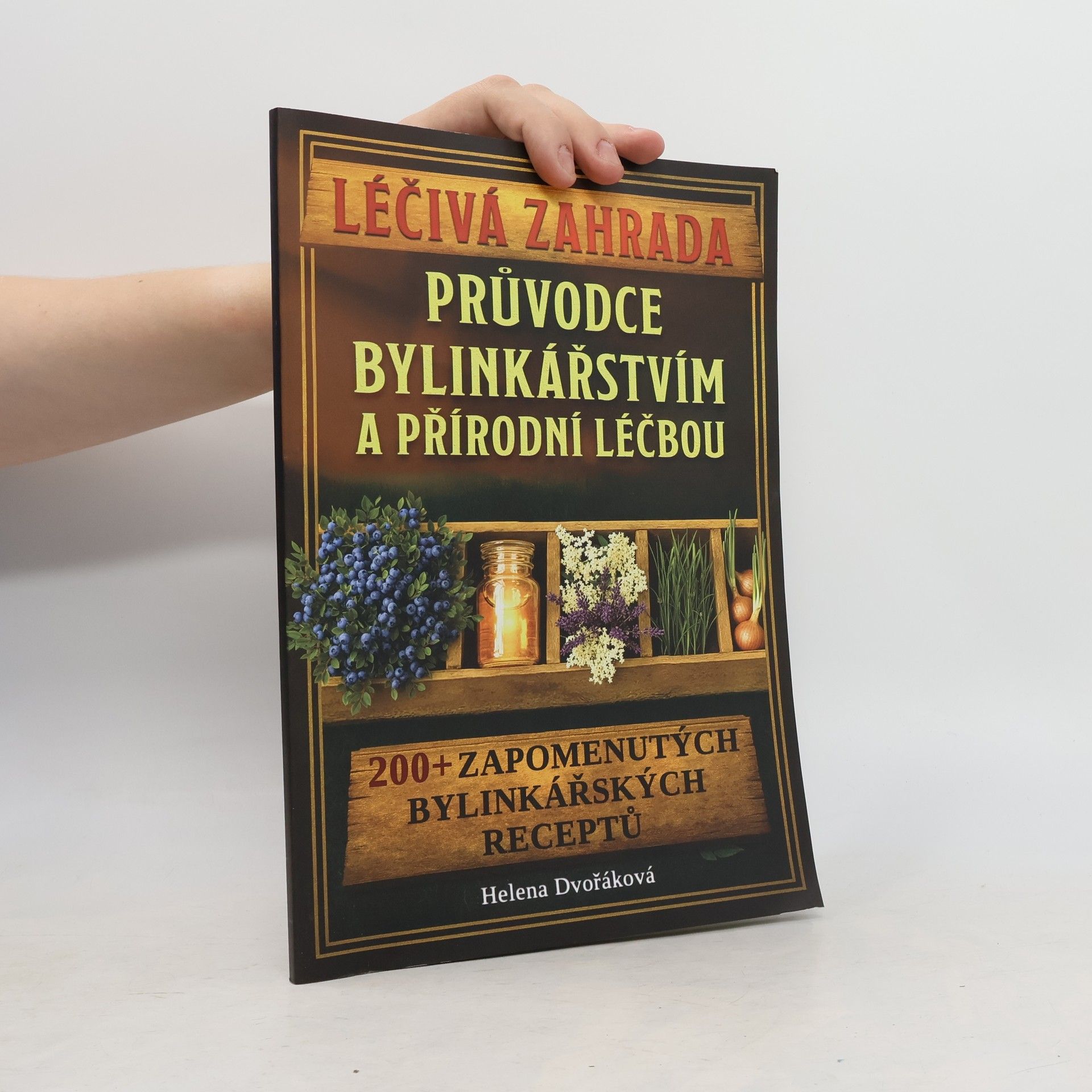 Helena Dvořáková Léčivá zahrada. Průvodce bylinkářstvím a přírodní léčbou