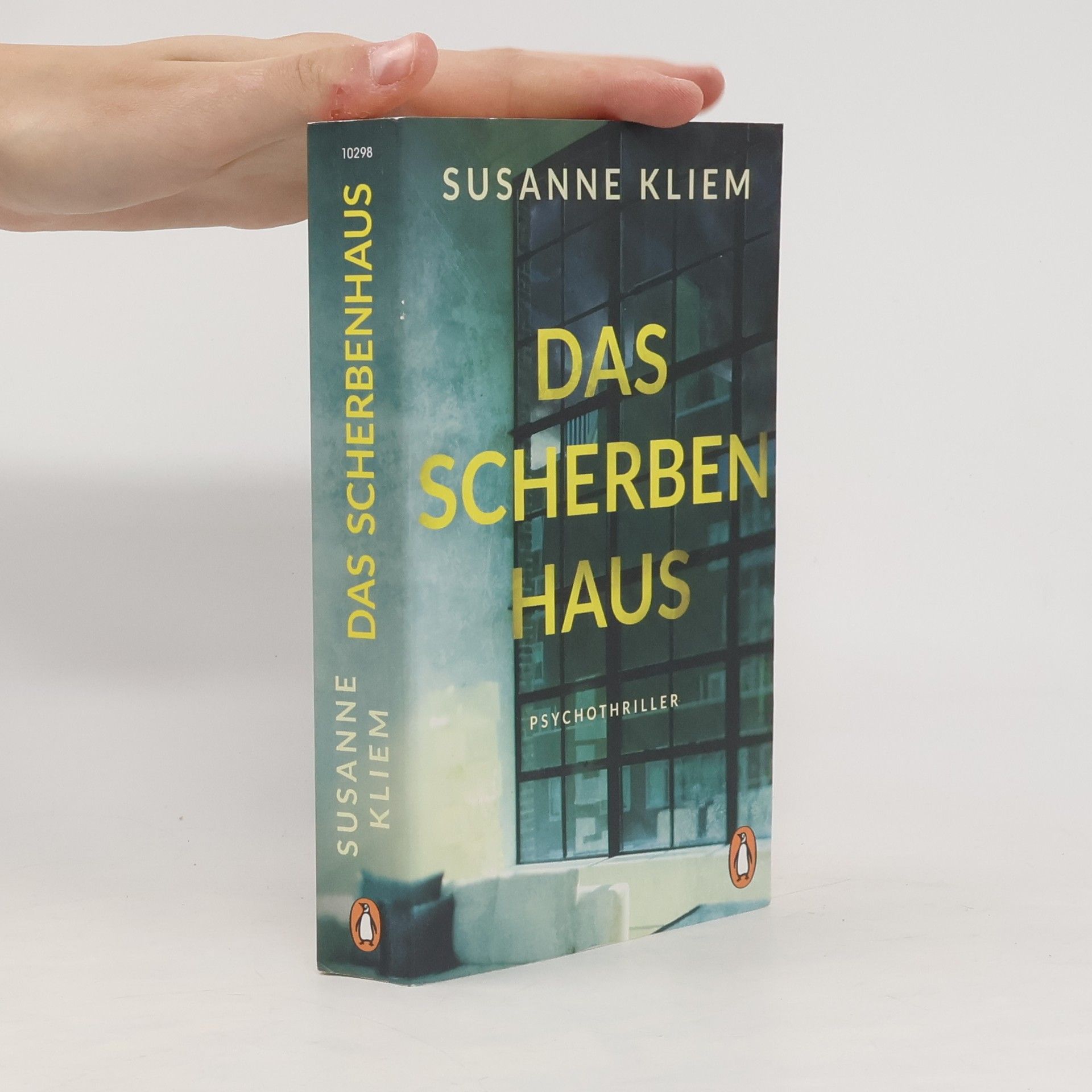 Susanne Kliem Das Scherbenhaus