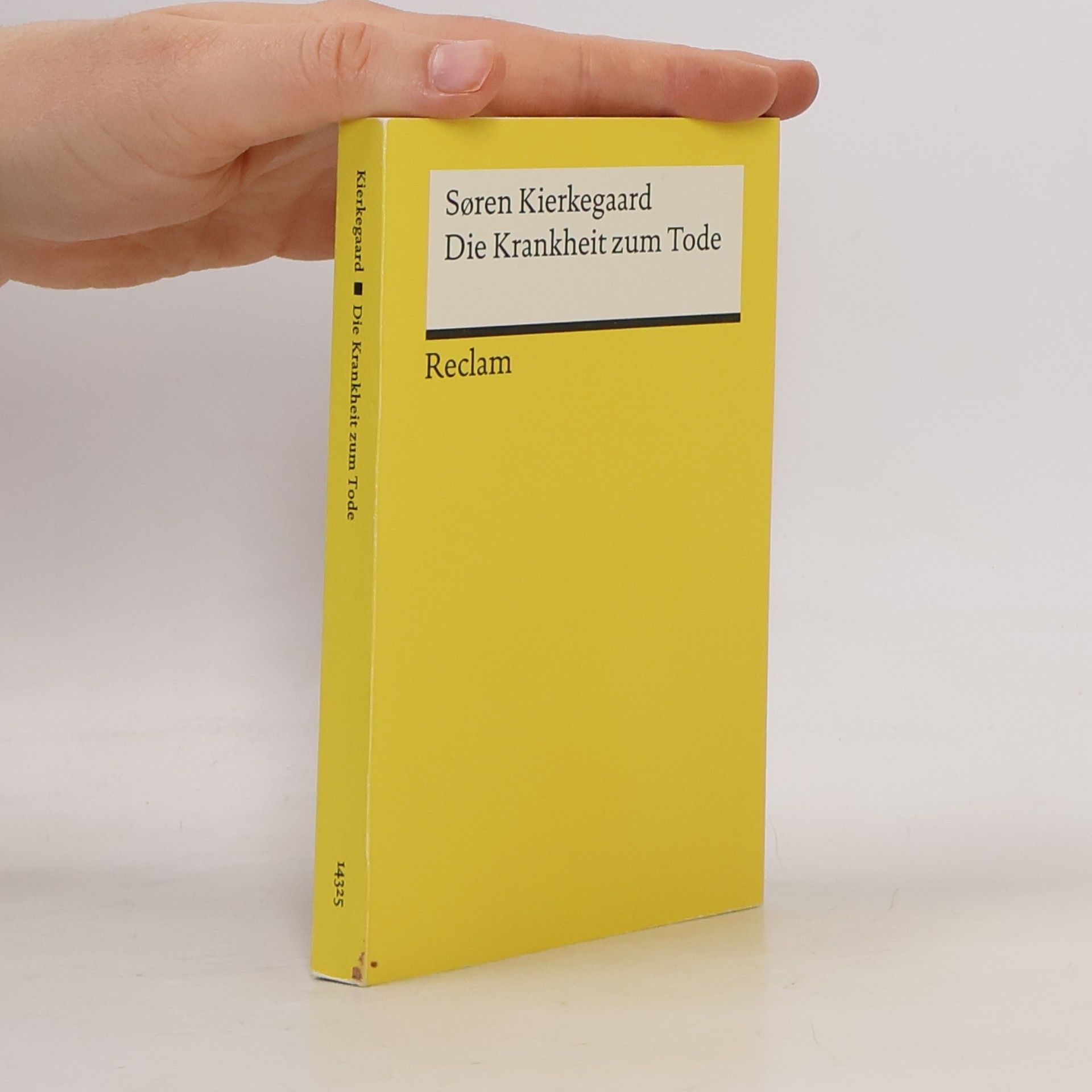 Søren Kierkegaard Die Krankheit zum Tode