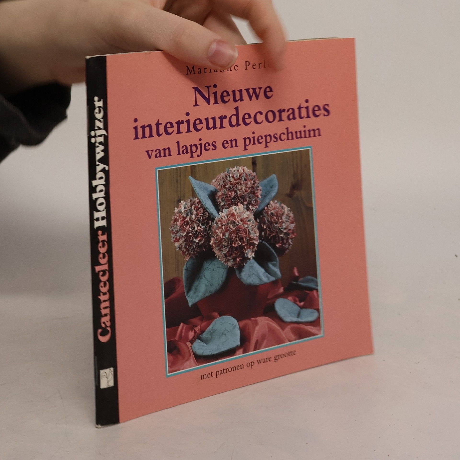 Marianne Perlot Cantecleer Hobbywijzer: Nieuwe interieurdecoraties