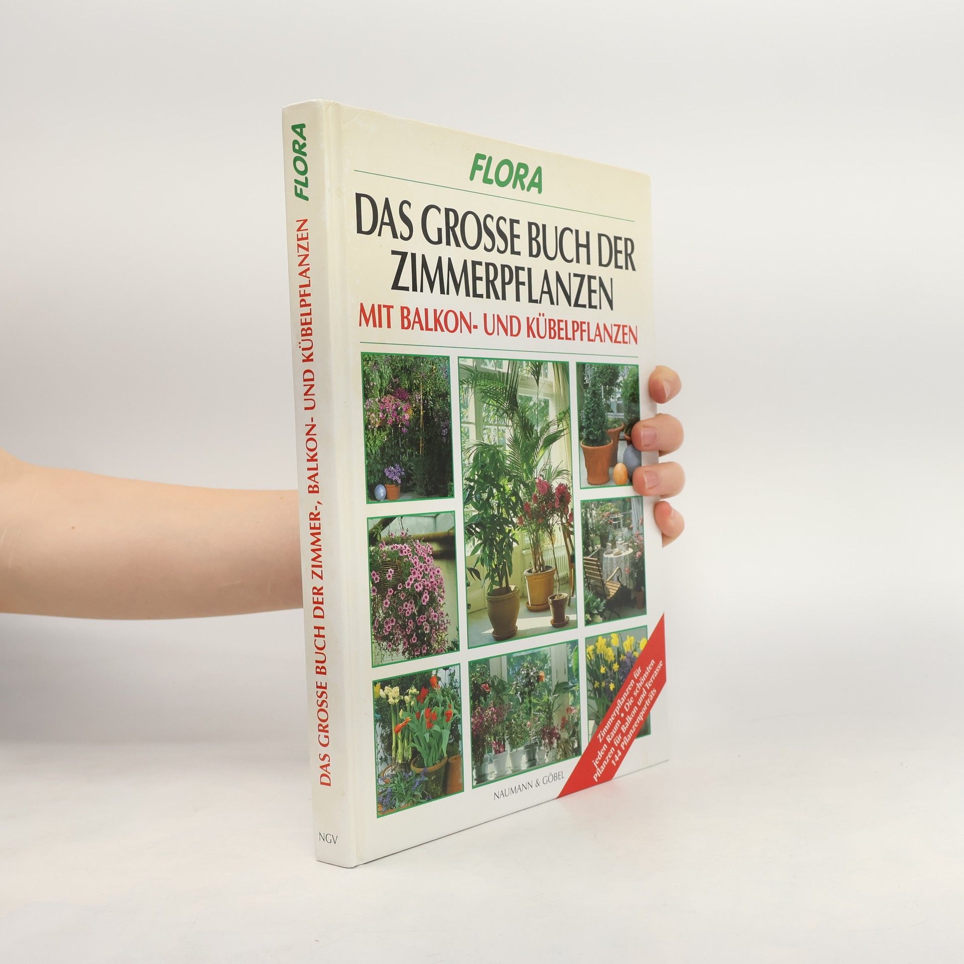 Johannes Haller Das große Buch der Zimmer-, Balkon- und Kübelpflanzen