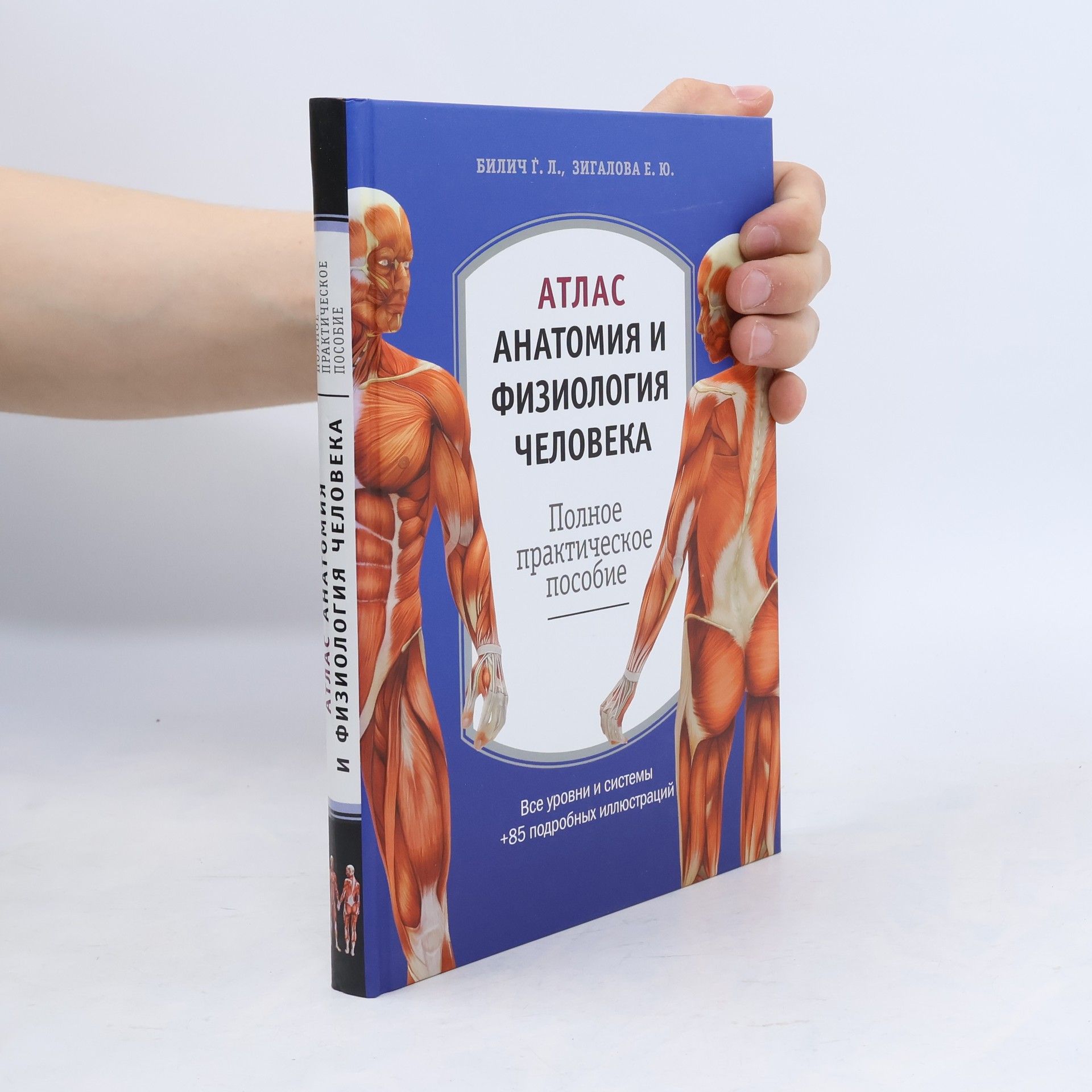 Autorenkollektiv Атлас. Анатомия и физиология человека