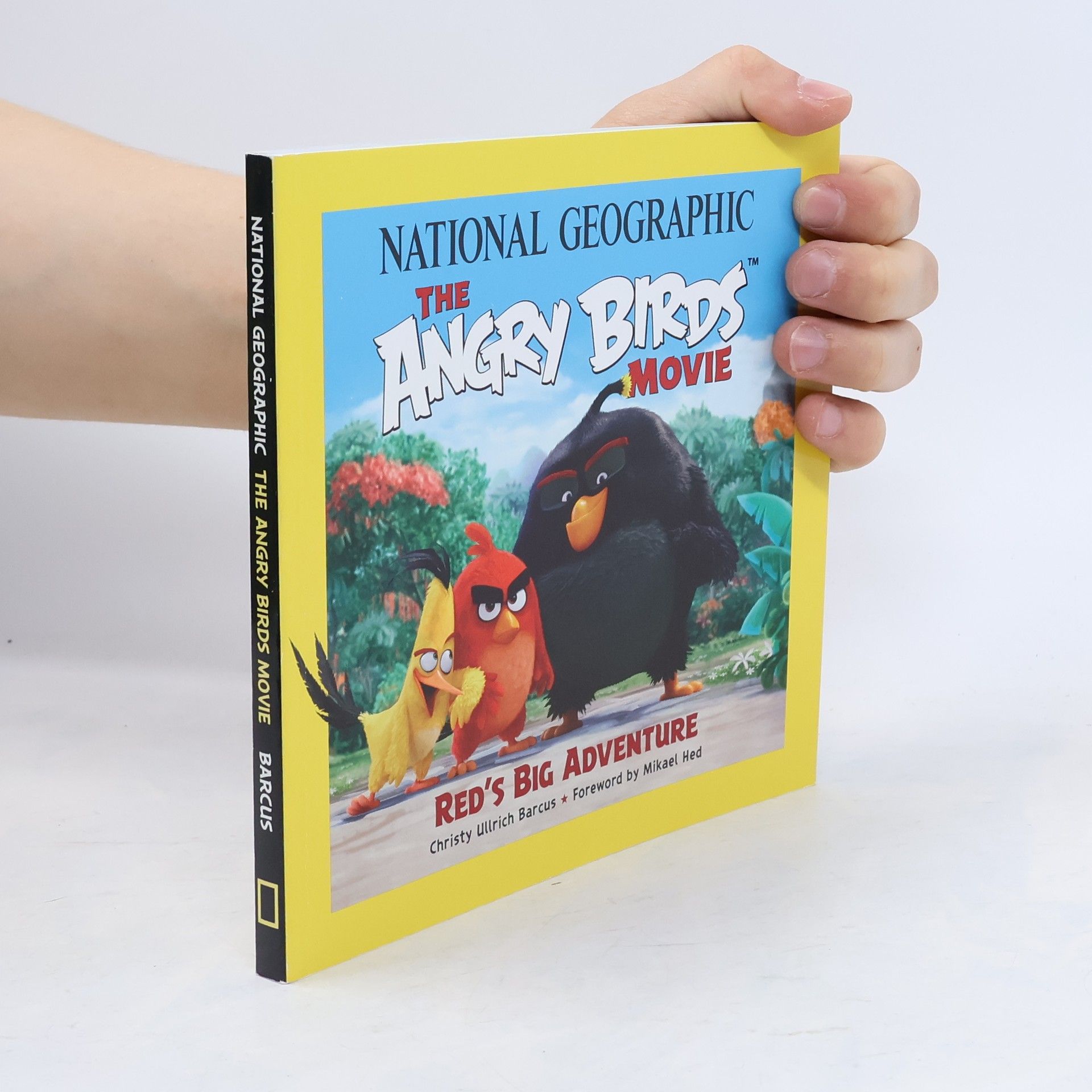 Mikael Hed The Angry Birds Movie