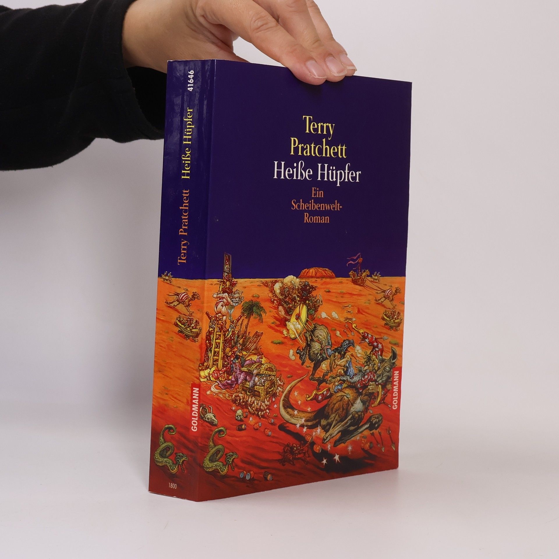 Terry Pratchett Heiße Hüpfer