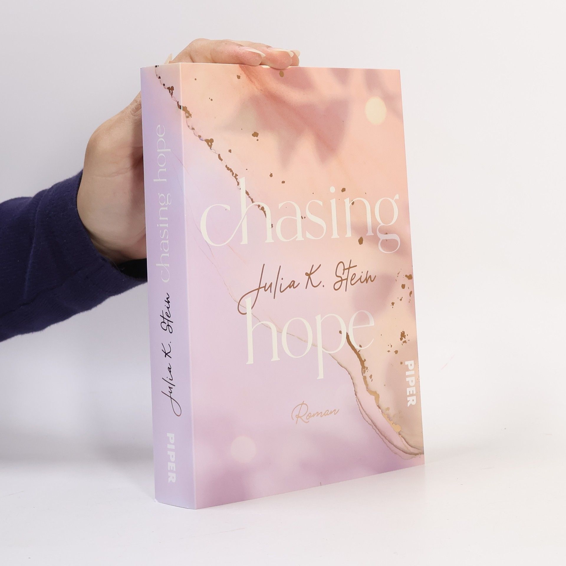 Julia K. Stein Chasing Hope