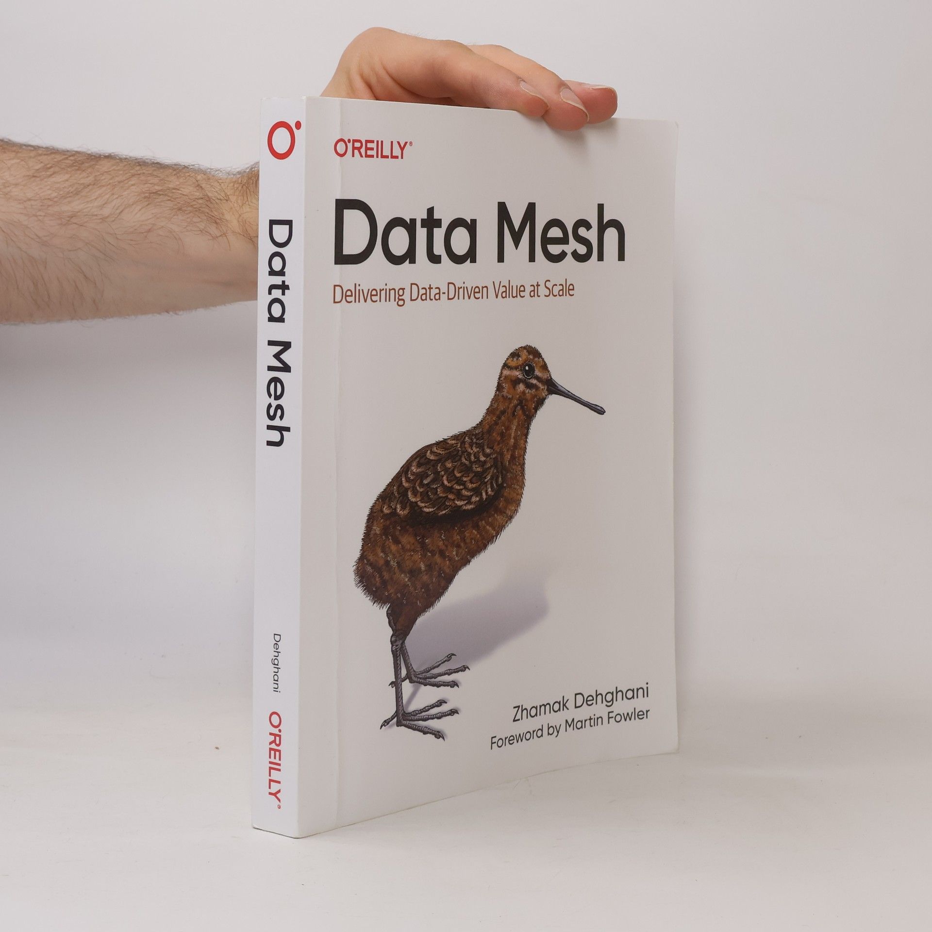 Zhamak Dehghani Data Mesh