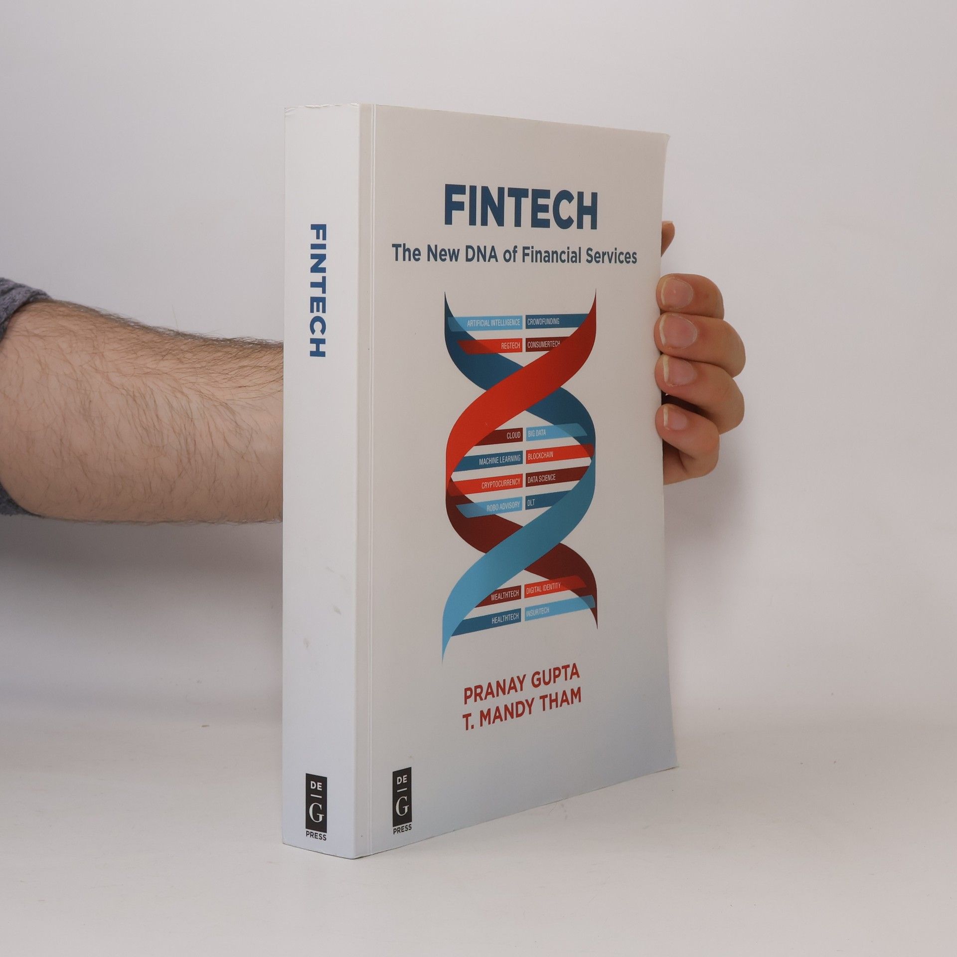 Mandy Tham Tze Tham Fintech