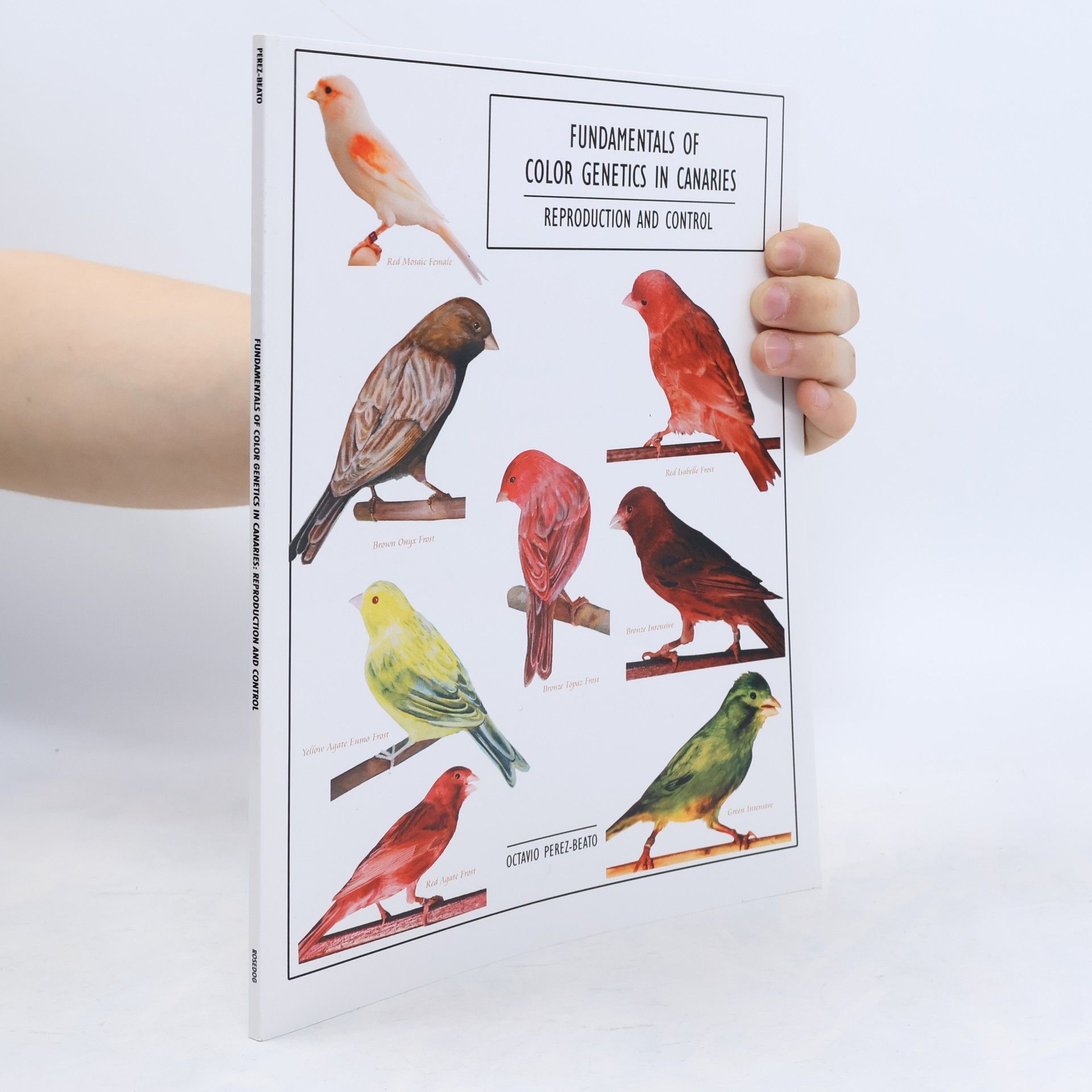 Octavio Perez-Beato Fundamentals of Color Genetics in Canaries