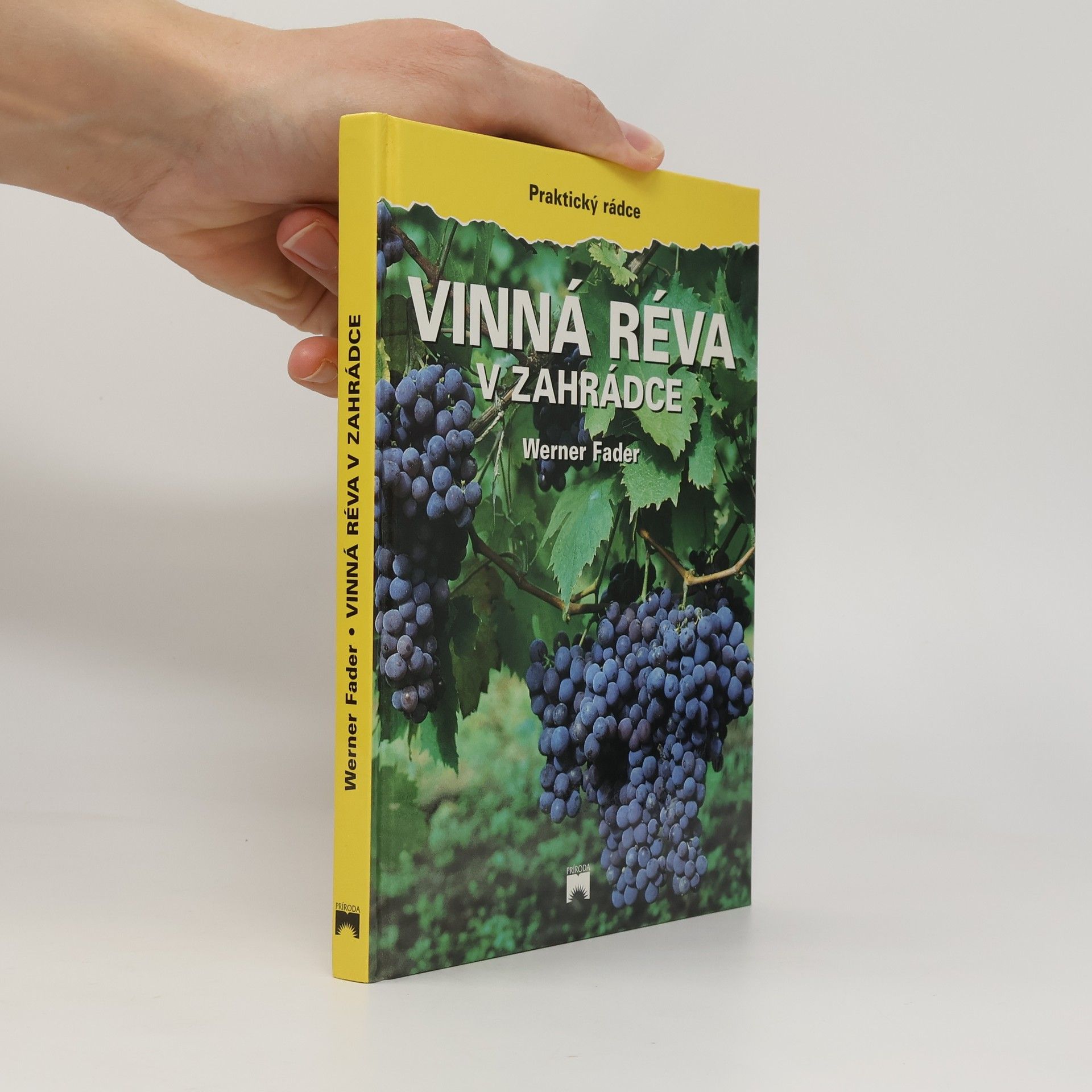 Werner Fader Vinná réva v zahrádce