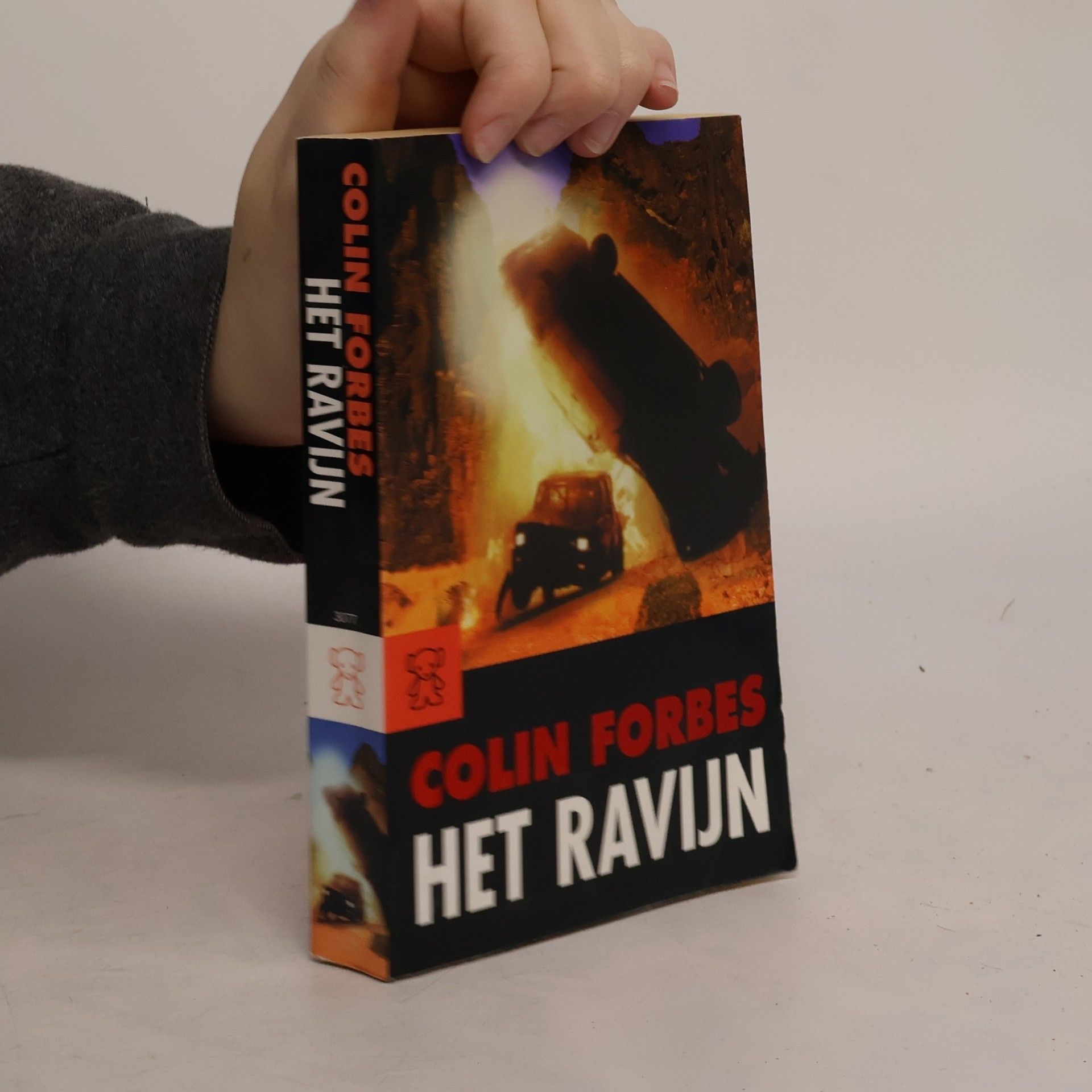Het ravijn