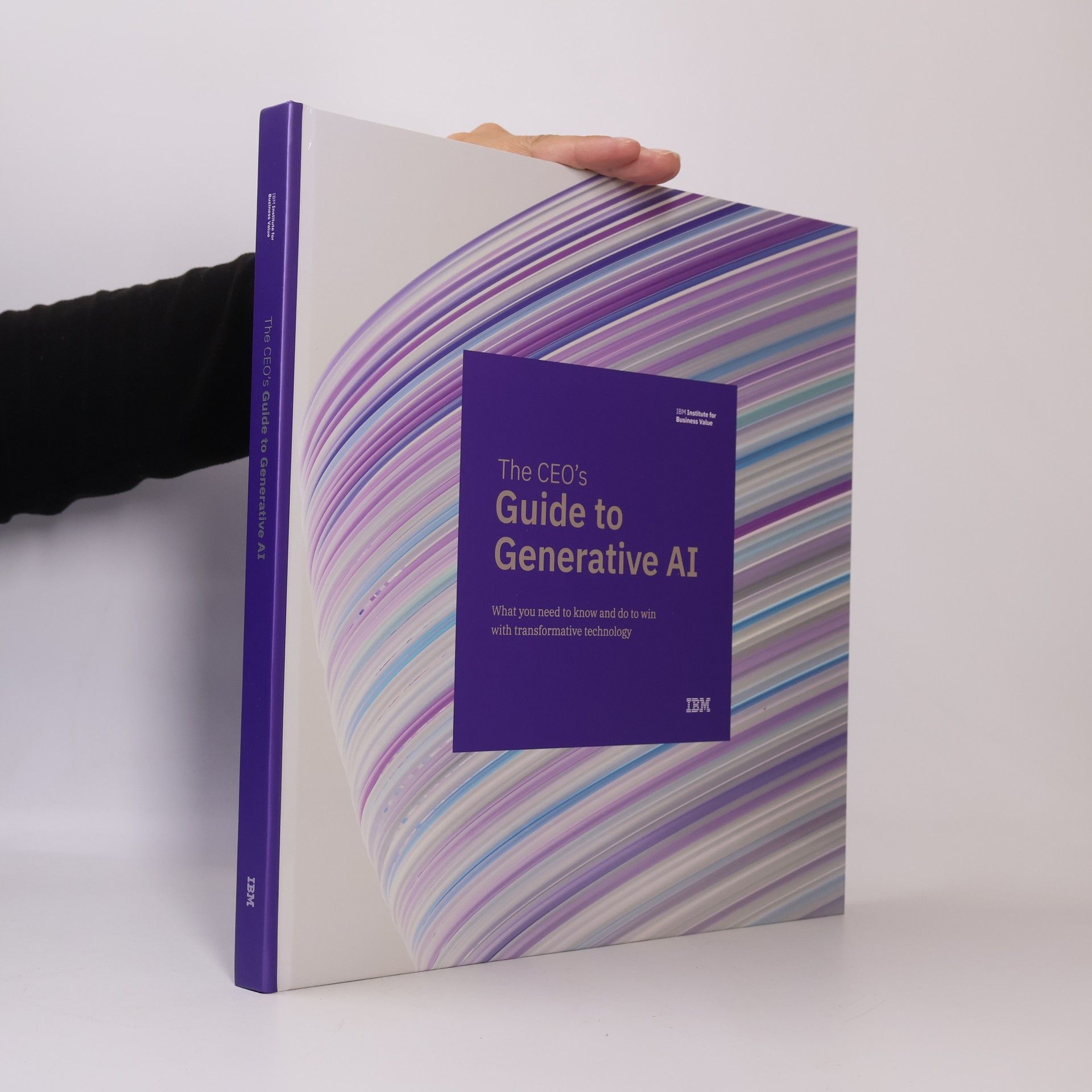 CEO's Guide to Generative AI