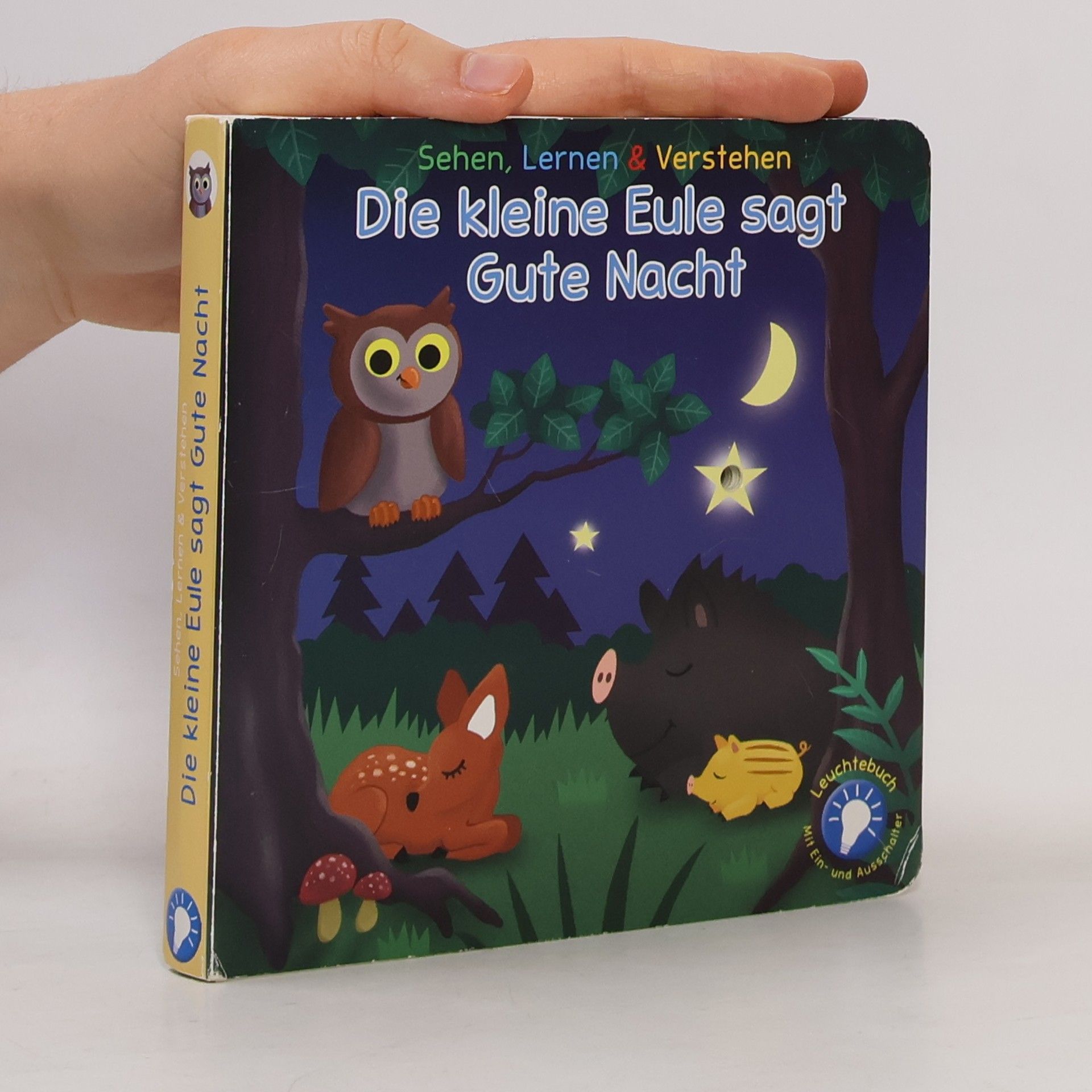 Autorenkollektiv Die kleine Eule sagt Gute Nacht