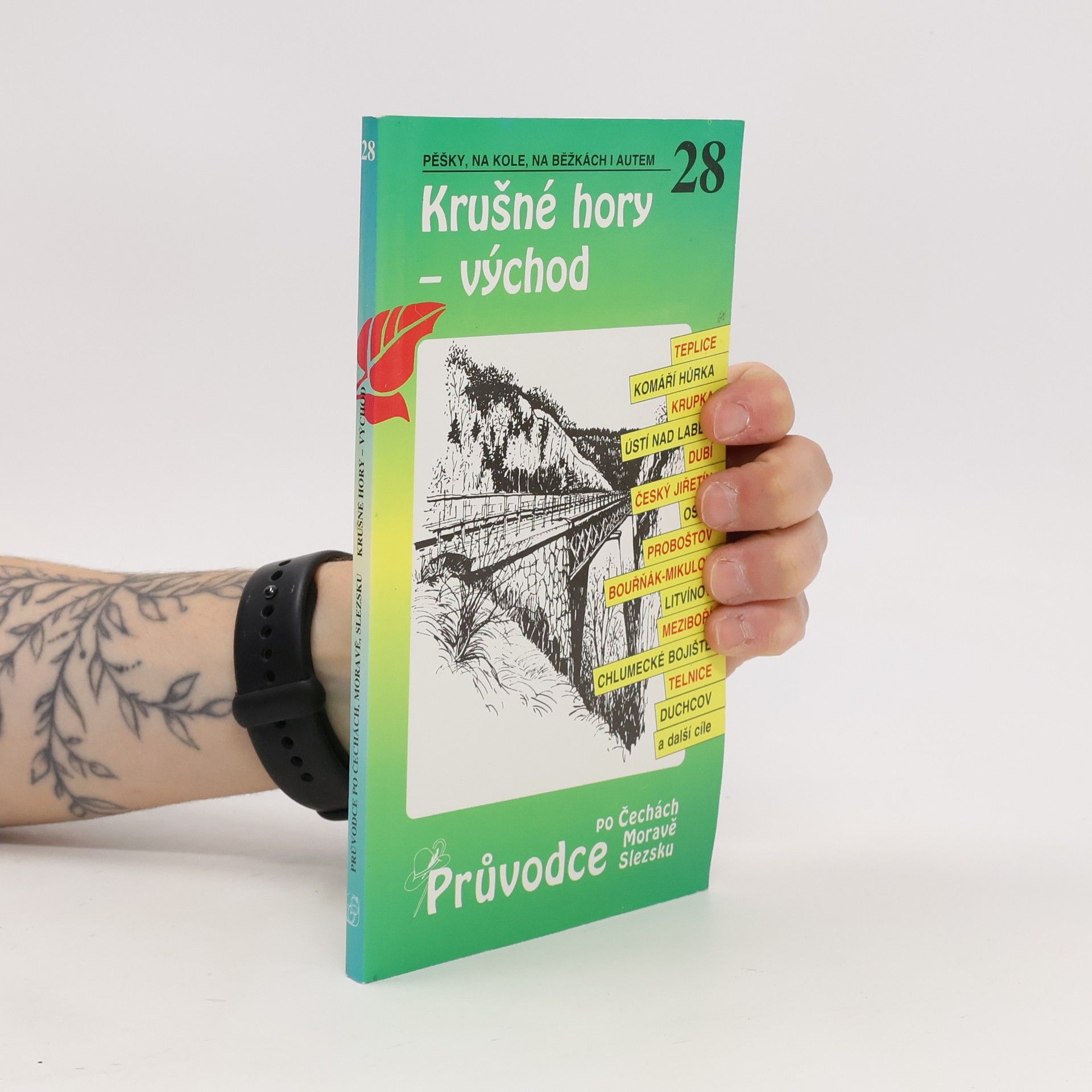 P. David Krušné hory - východ