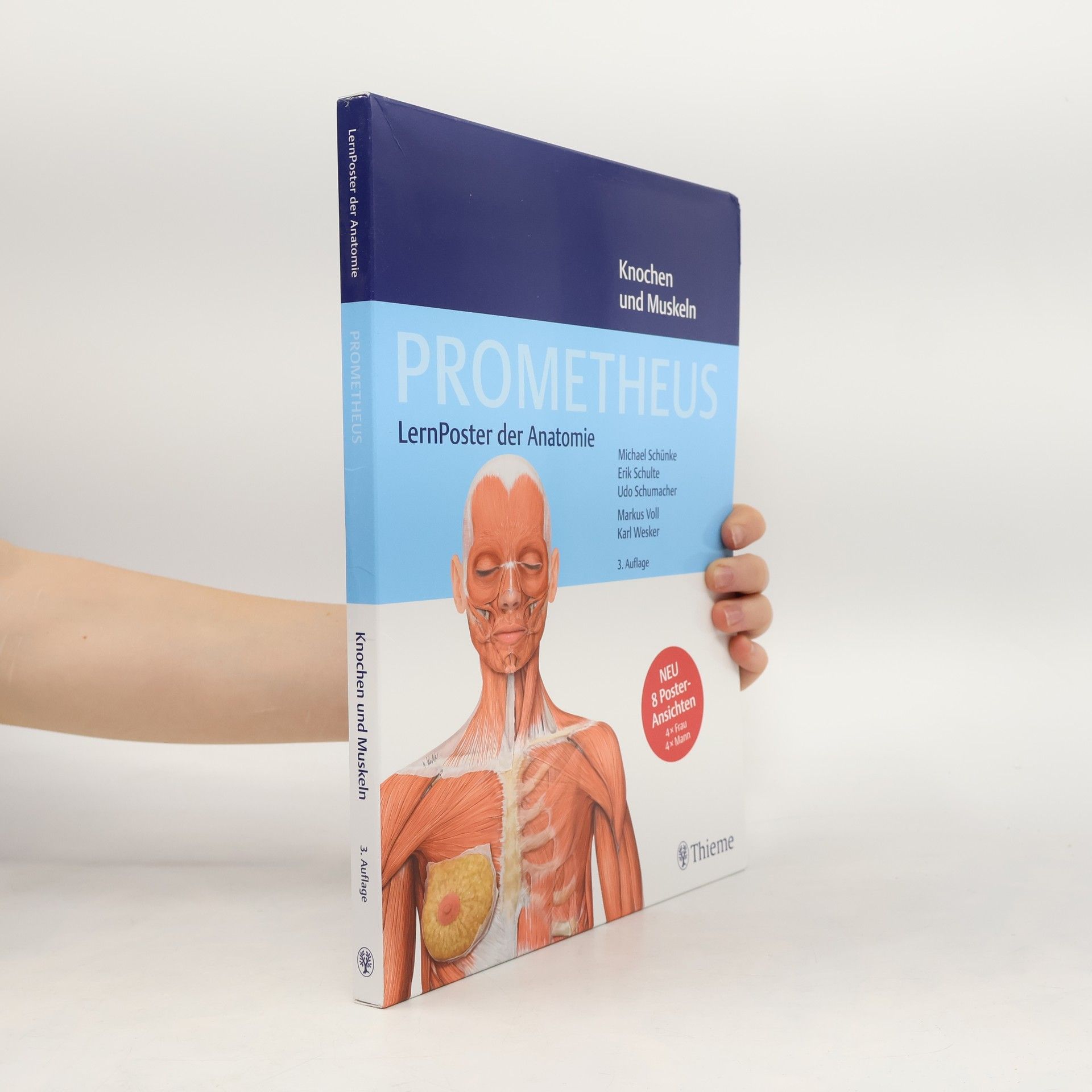 Michael Schünke PROMETHEUS LernPoster der Anatomie, Knochen und Muskeln