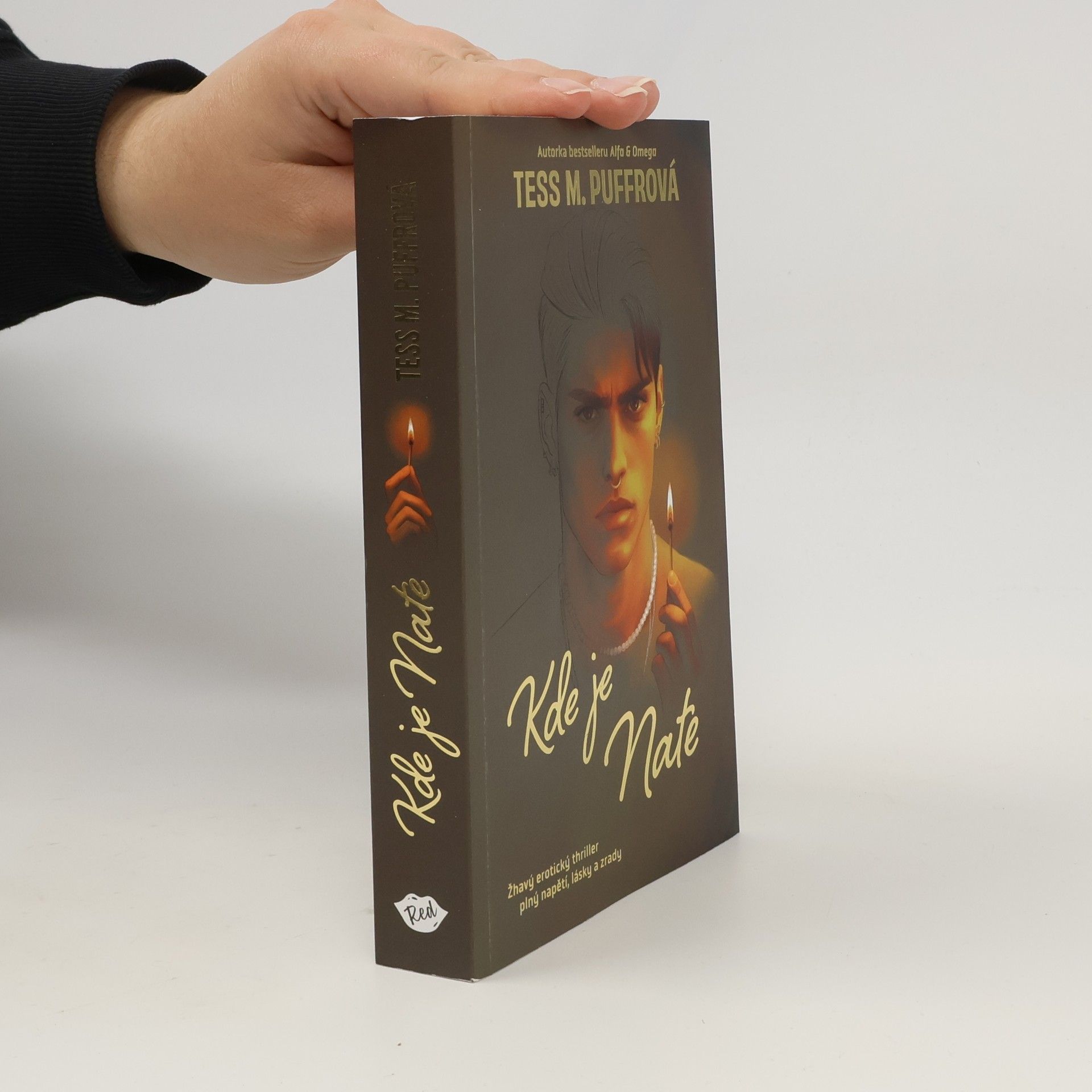 Tess M. Puffrová Kde je Nate