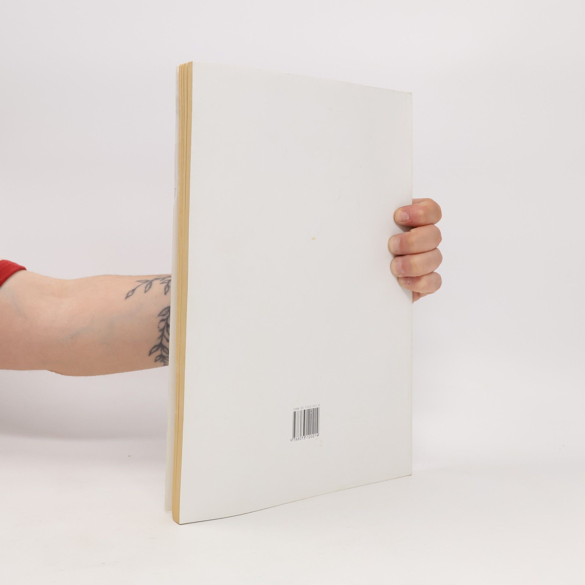 Autorenkollektiv Zbraně a střelivo : právní úprava & zkušební otázky