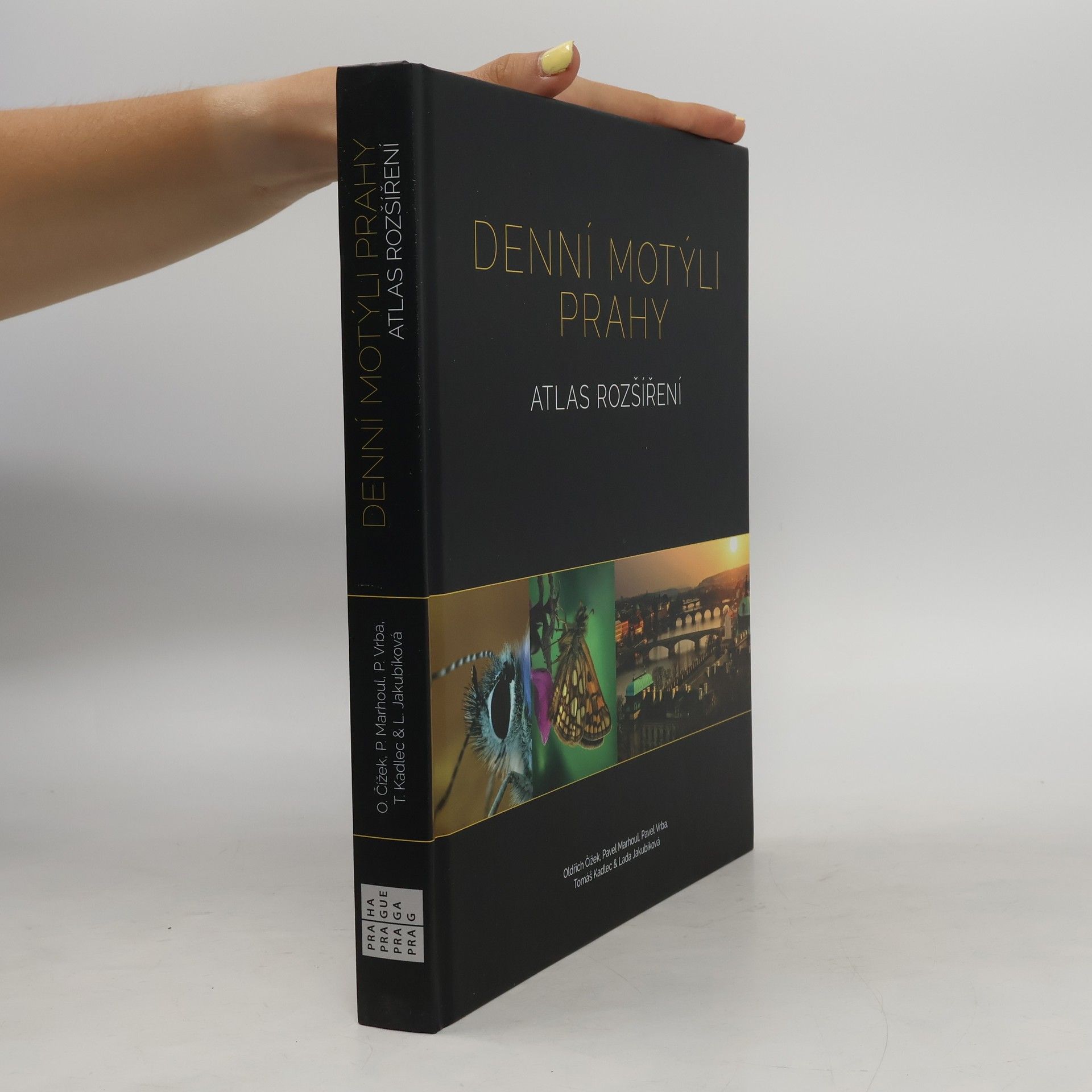 Autorenkollektiv Denní motýli Prahy : atlas rozšíření