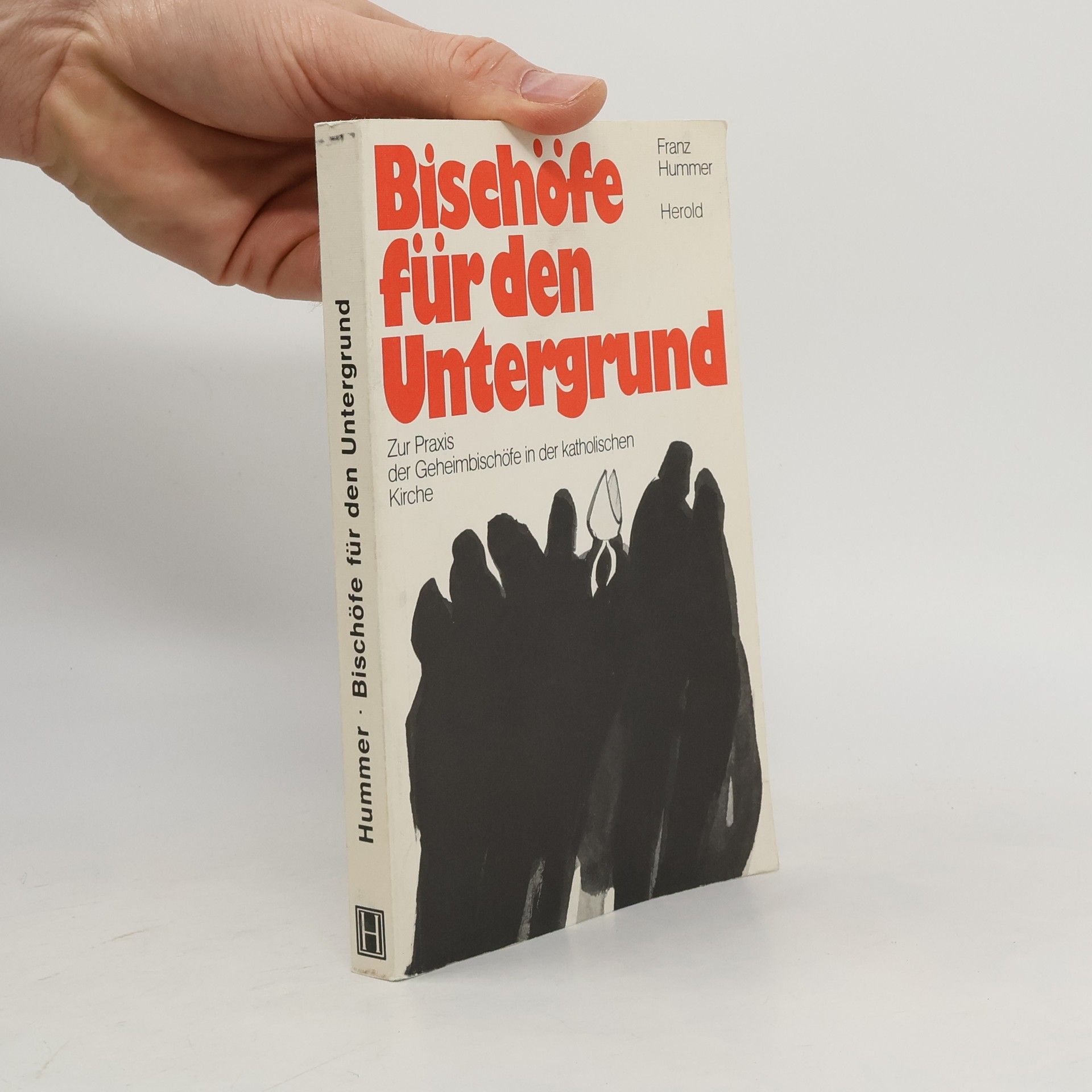 Franz Hummer Bischöfe für den Untergrund