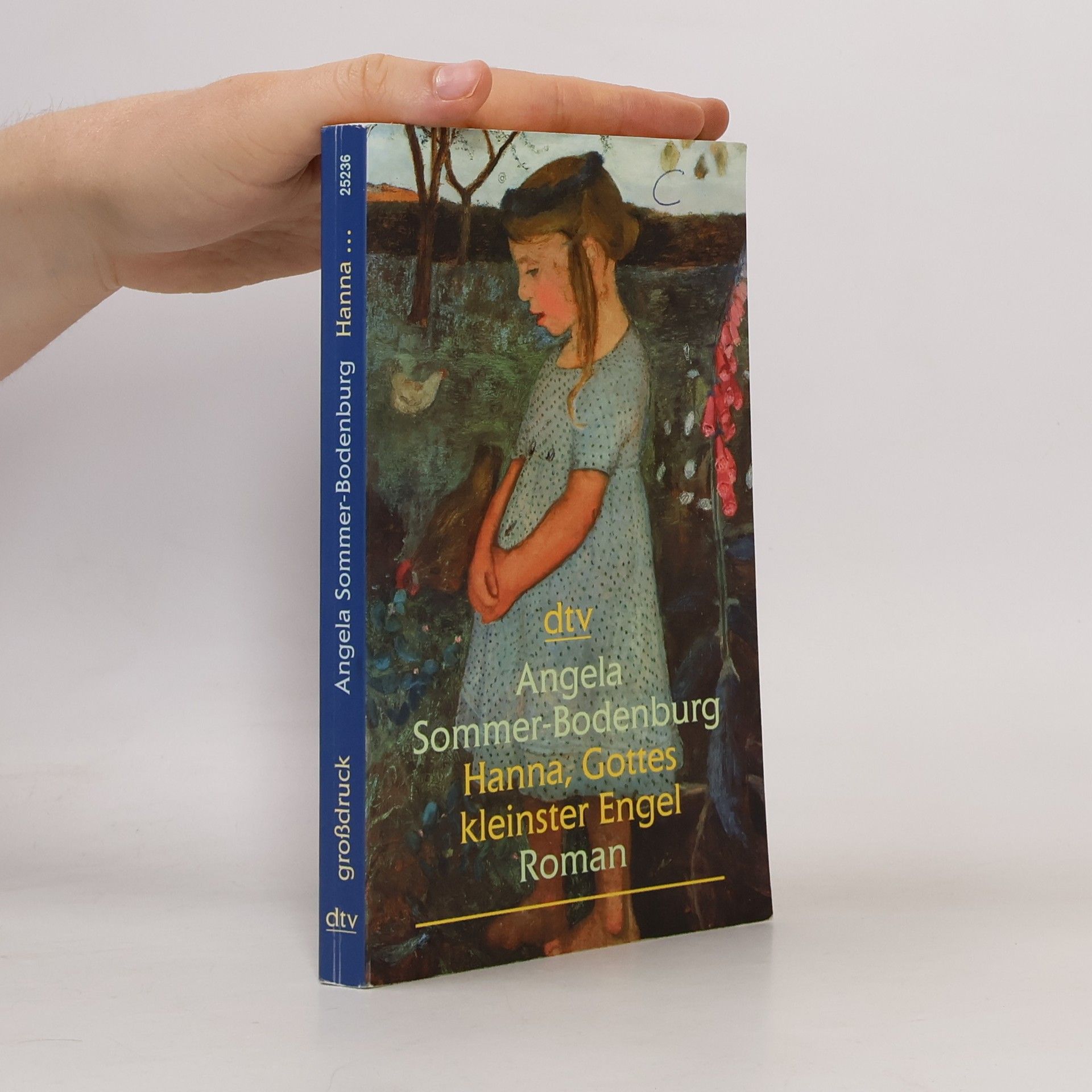 Angela Sommer-Bodenburg dtv Großdruck: Hanna, Gottes kleinster Engel