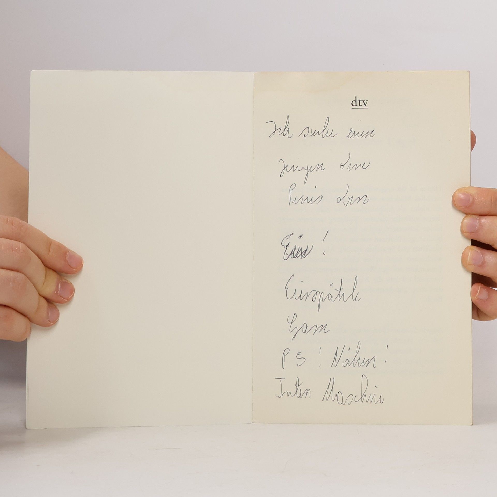 Angela Sommer-Bodenburg dtv Großdruck: Hanna, Gottes kleinster Engel
