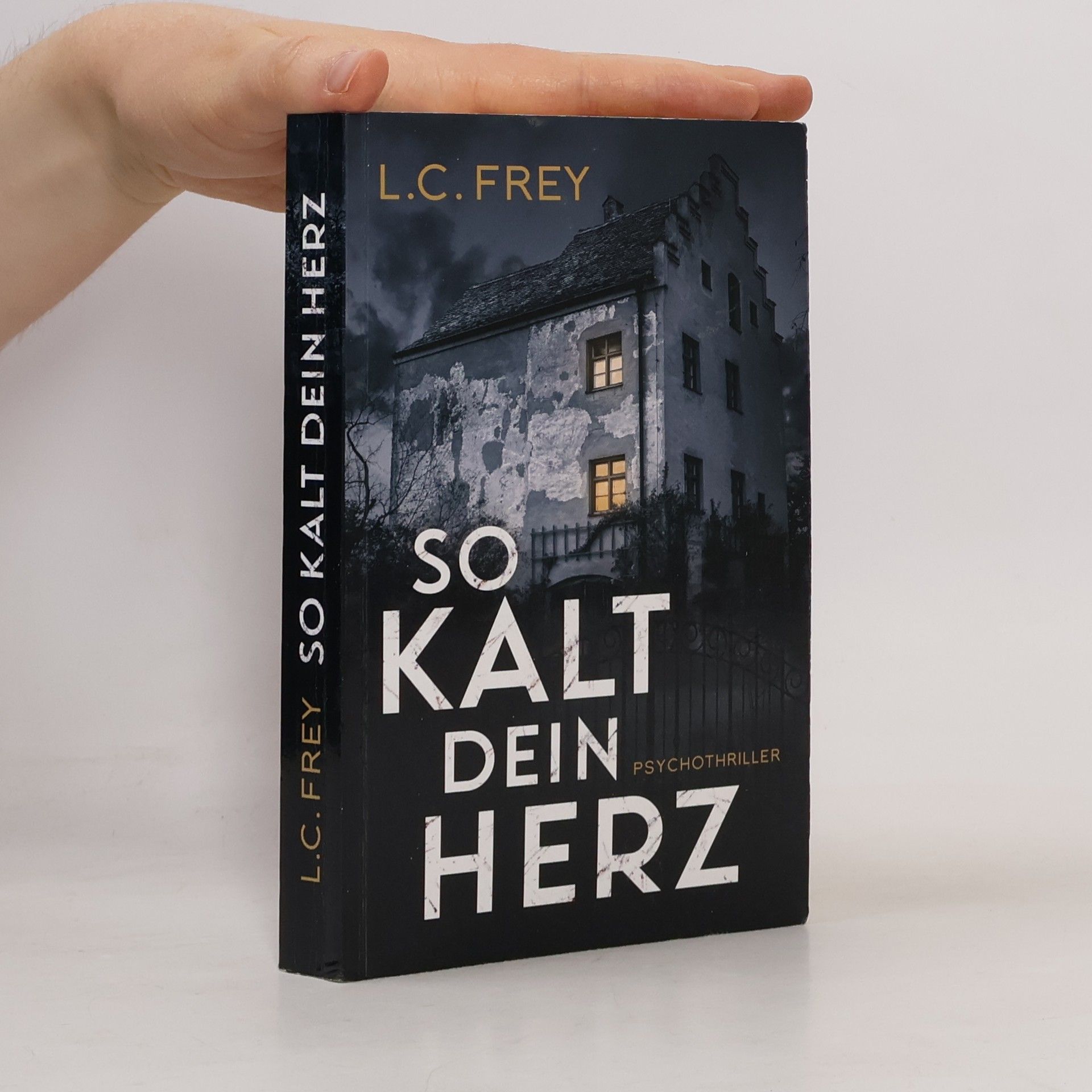 L. C. Frey So kalt dein Herz