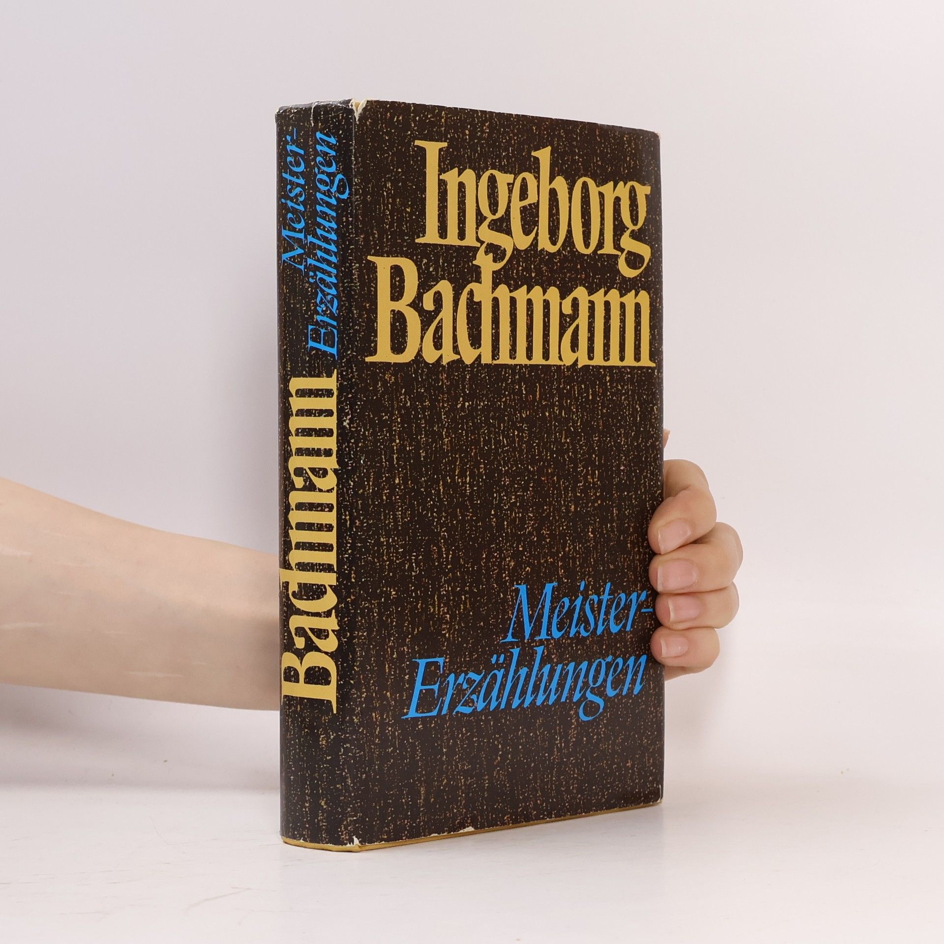 Ingeborg Bachmann Meister-Erzählungen