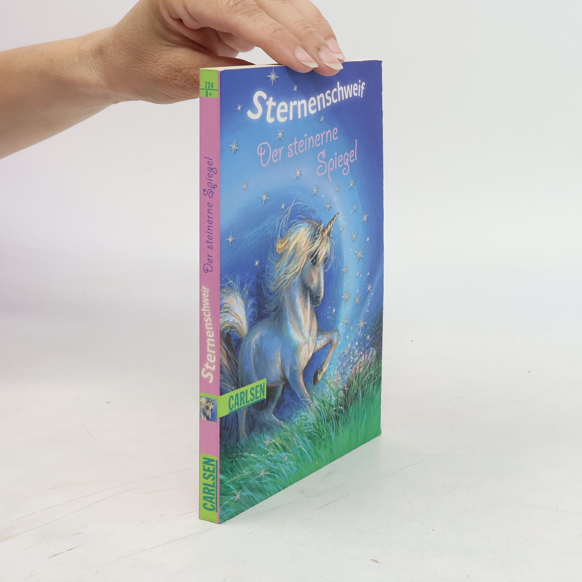 Linda Chapman Sternenschweif. Der steinerne Spiegel