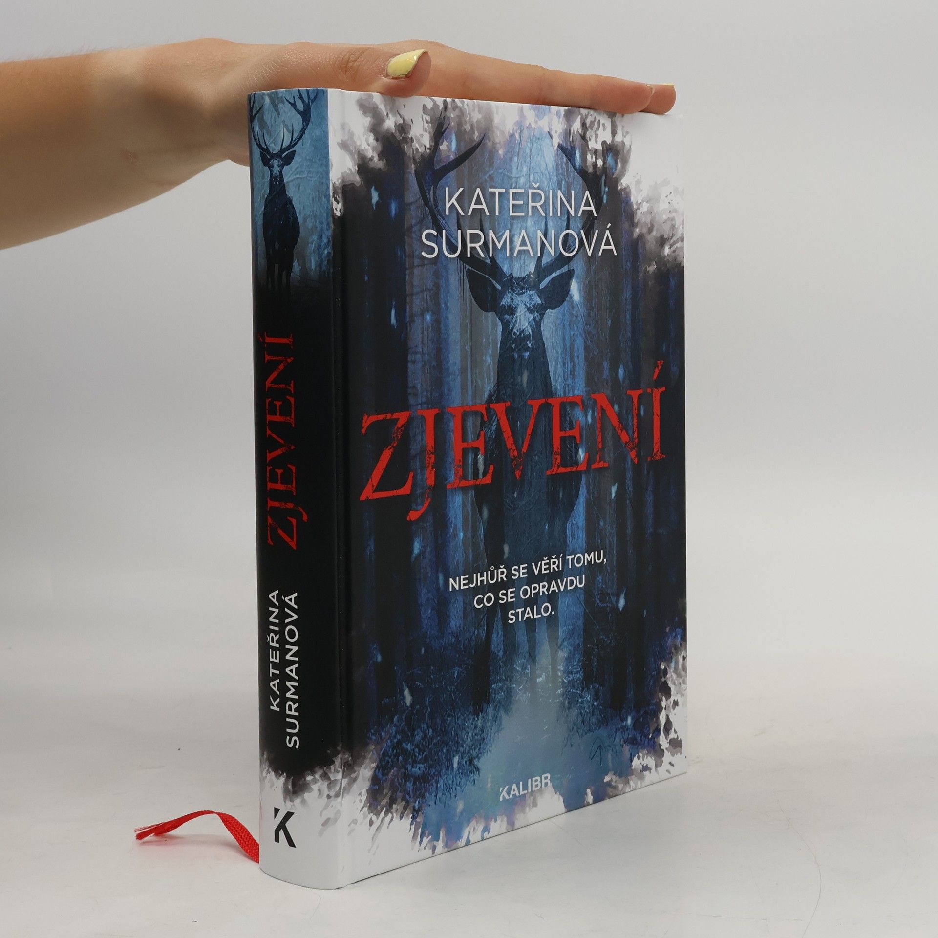 Kateřina Surmanová Zjevení