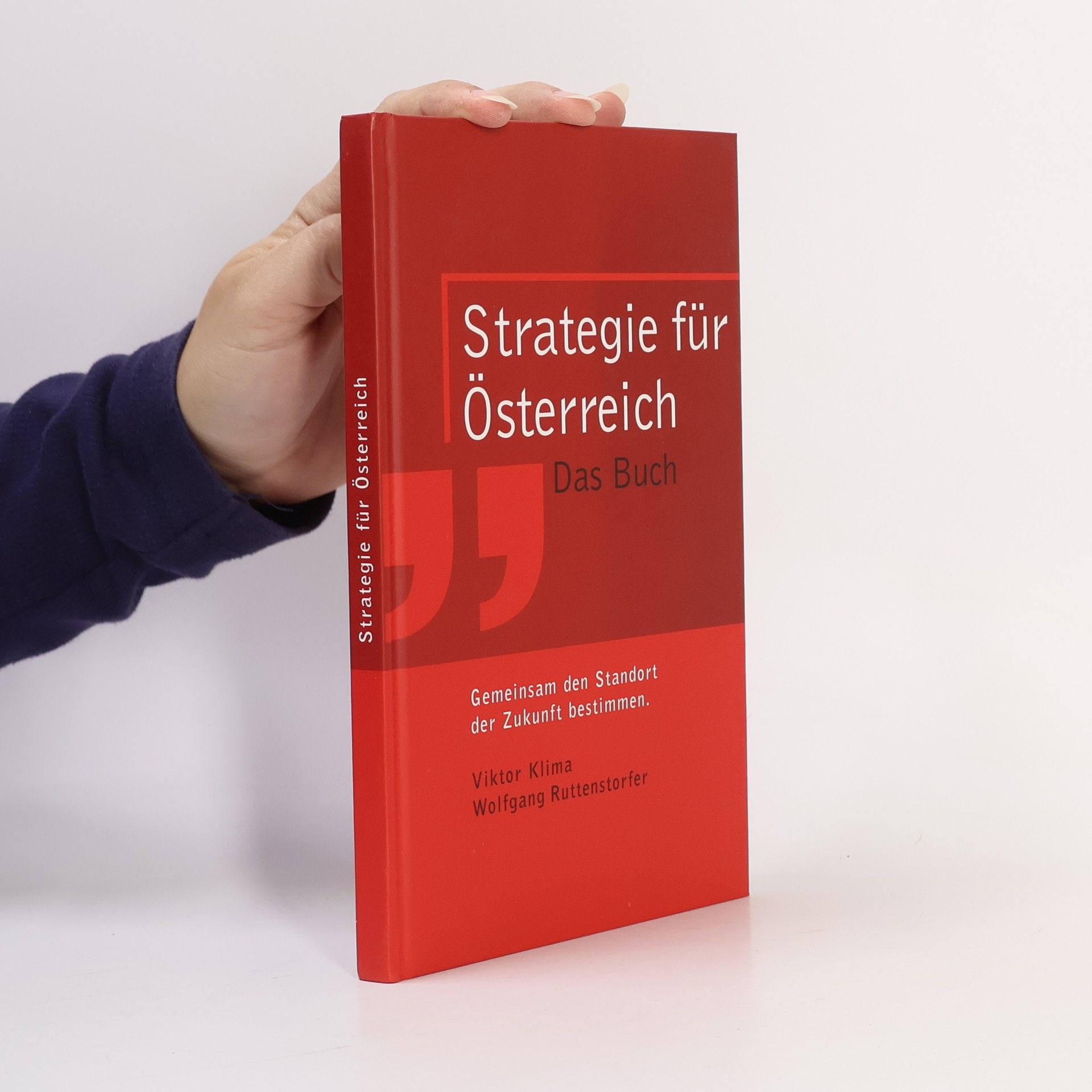 Wolfgang Ruttenstorfer Strategie für Österreich