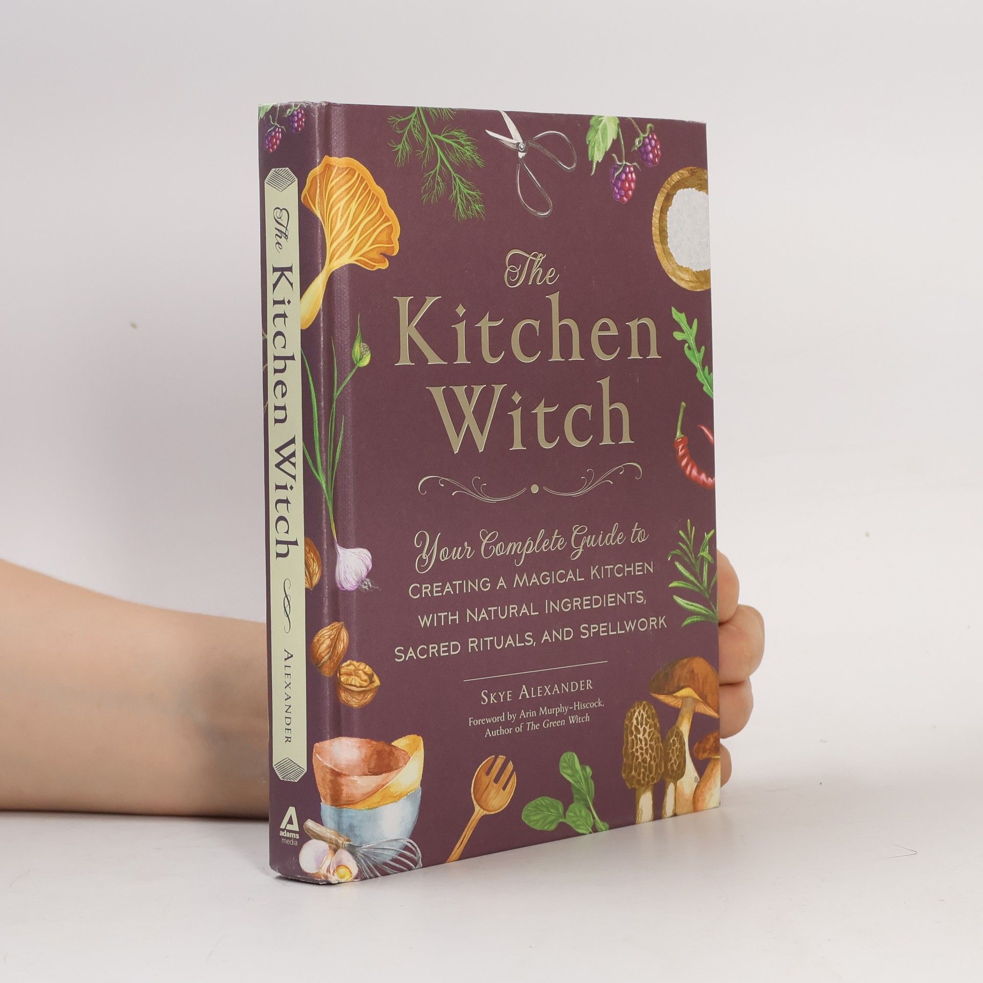 Skye Alexander The Kitchen Witch
