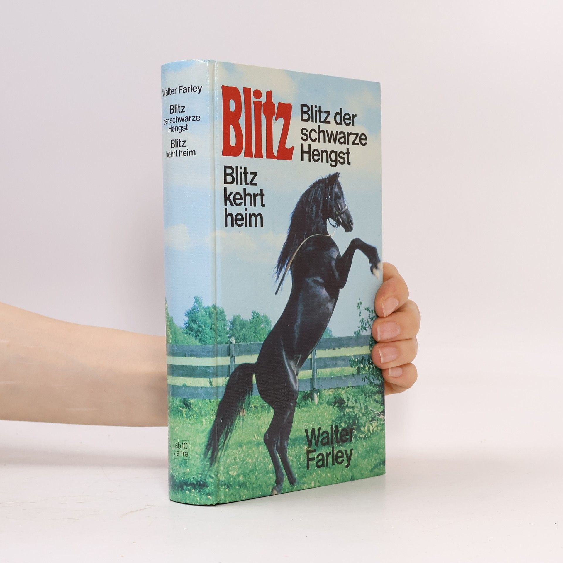Blitz der schwarze Hengst; Blitz kehrt heim