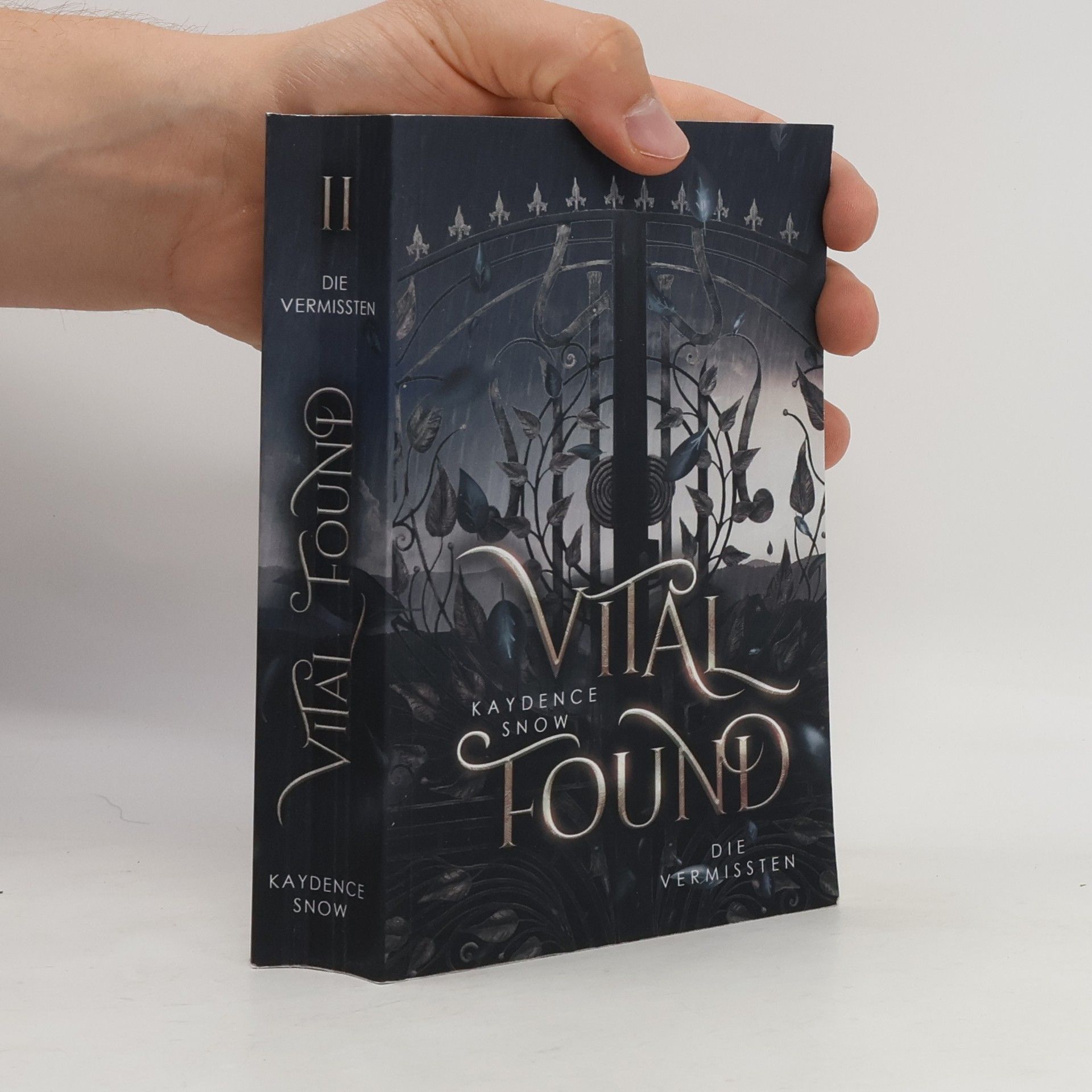 Die Evelyn-Maynard-Trilogie - 2: Vital Found – Die Vermissten